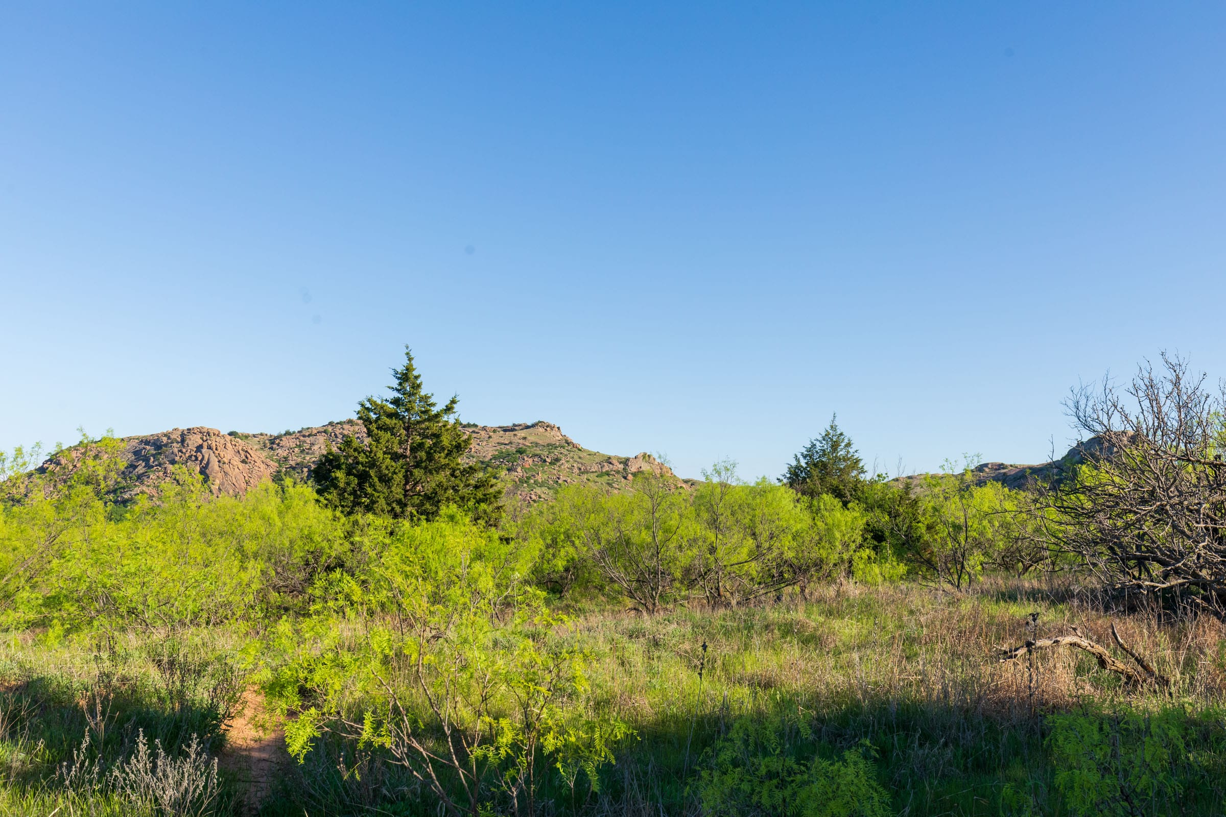 Hackberry Fields Tract 21 photo 8