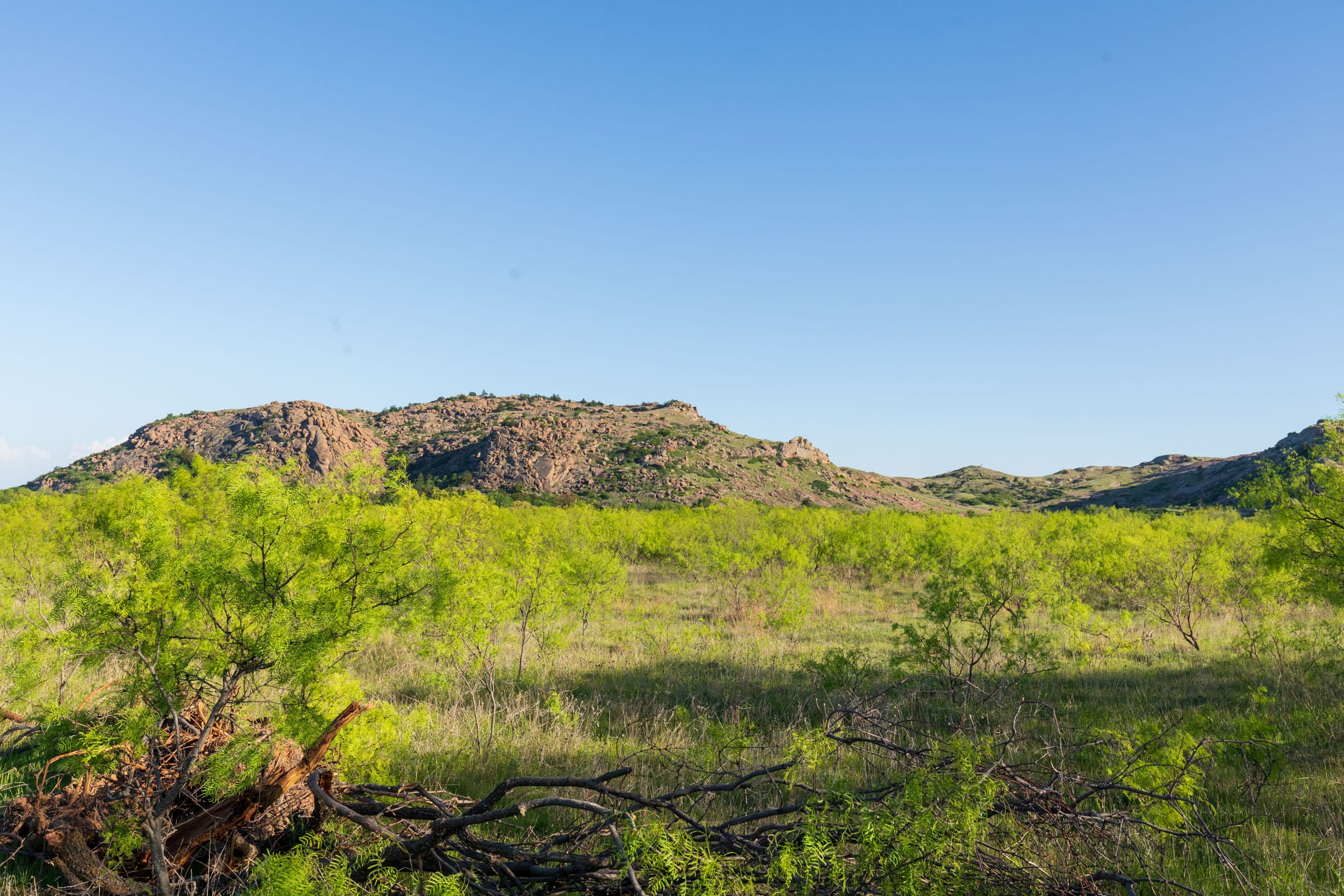 Hackberry Fields Tract 21 photo 6