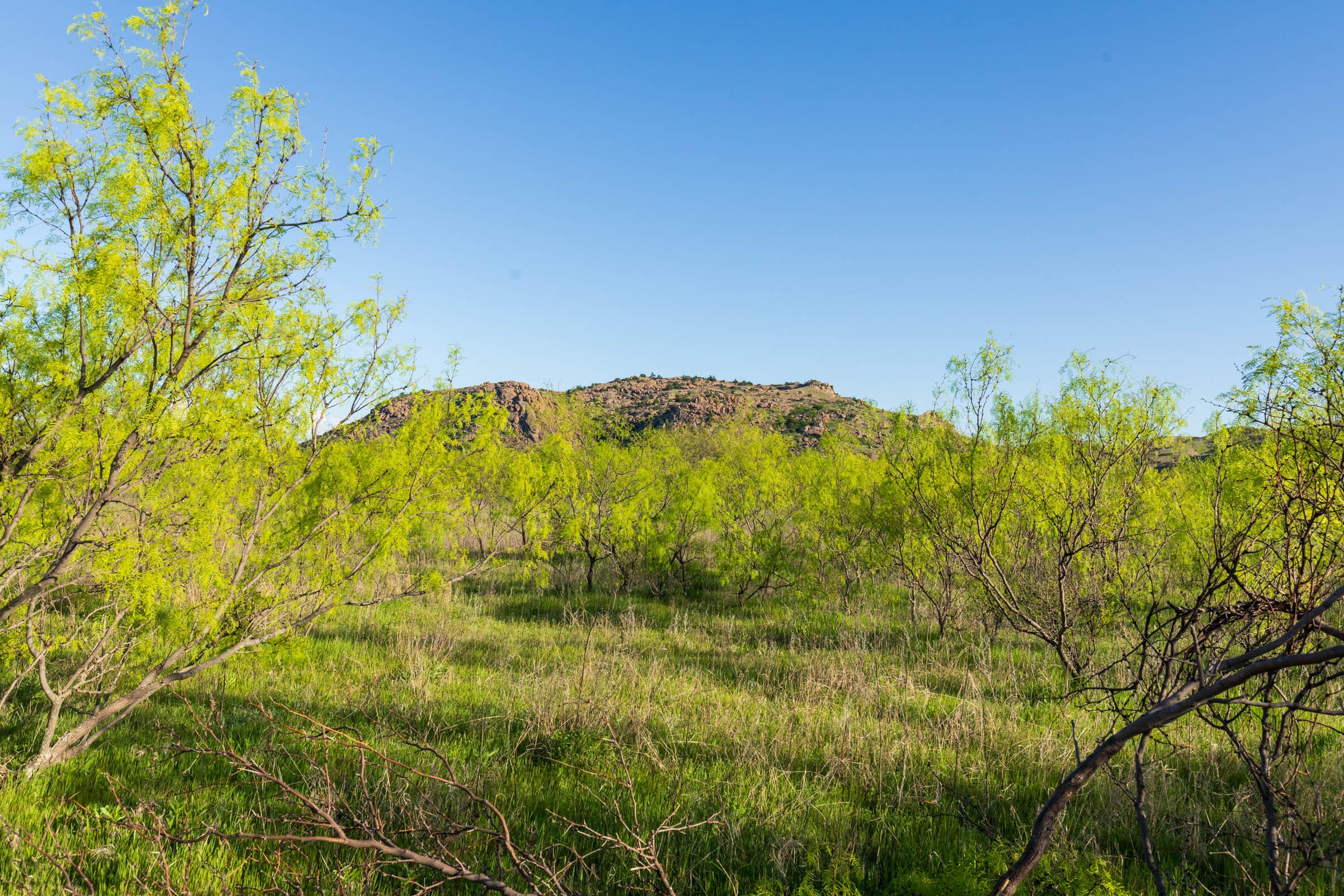Hackberry Fields Tract 21 photo 10