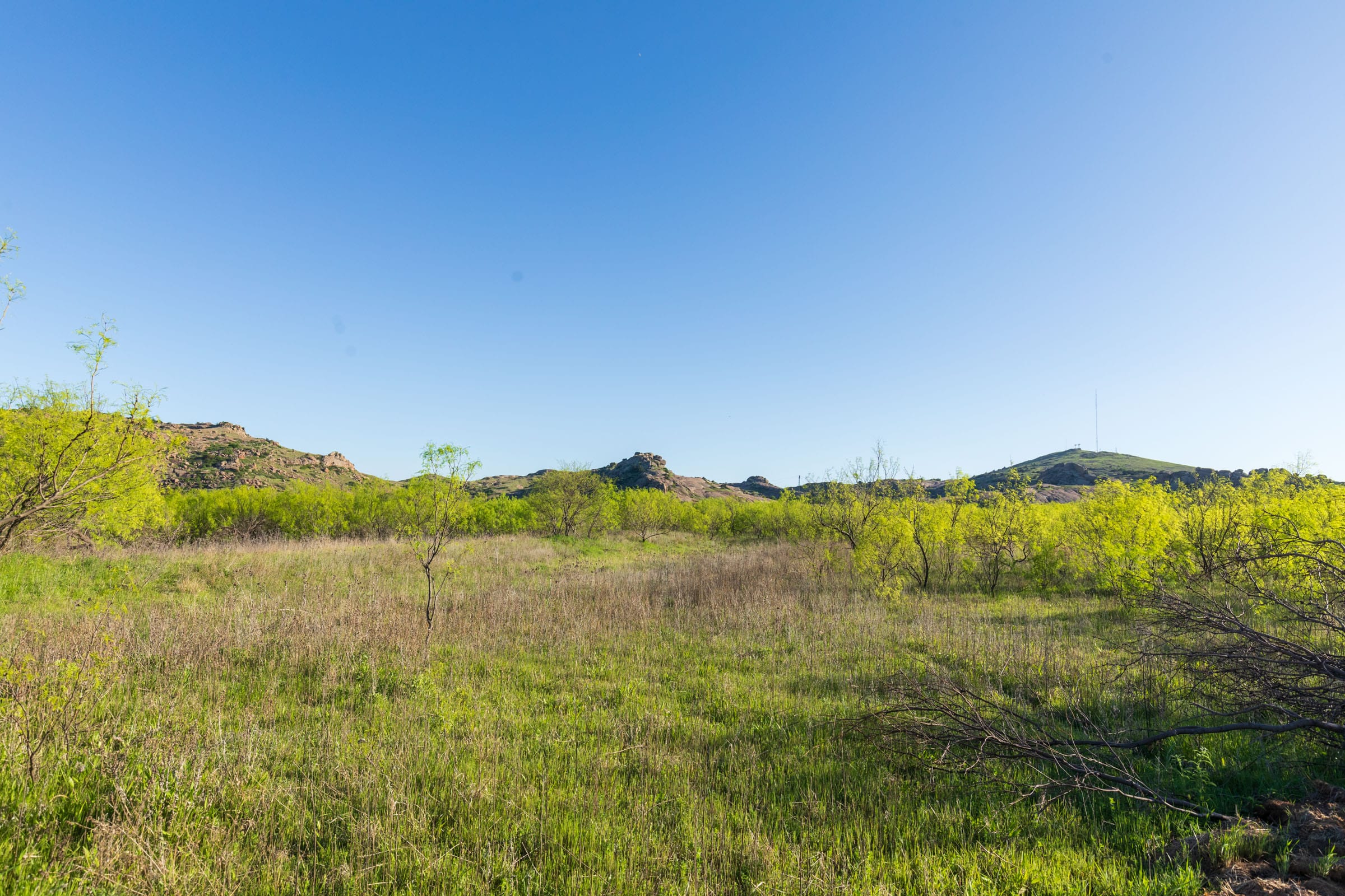Hackberry Fields Tract 21 photo 11