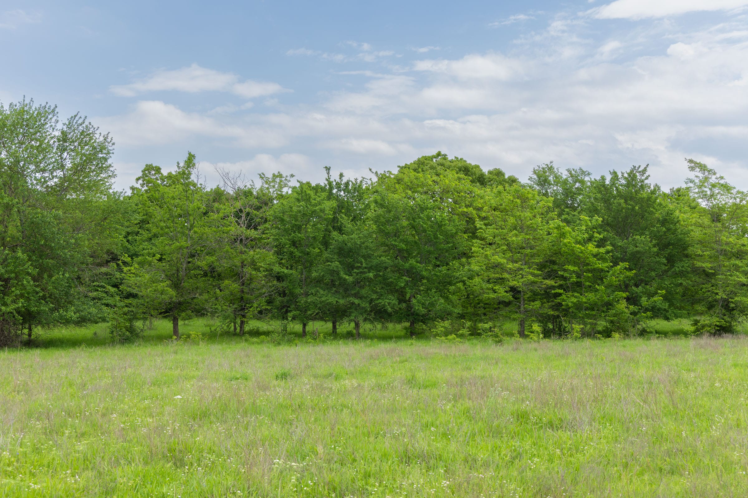 Harmony Hills Tract 15 photo 3