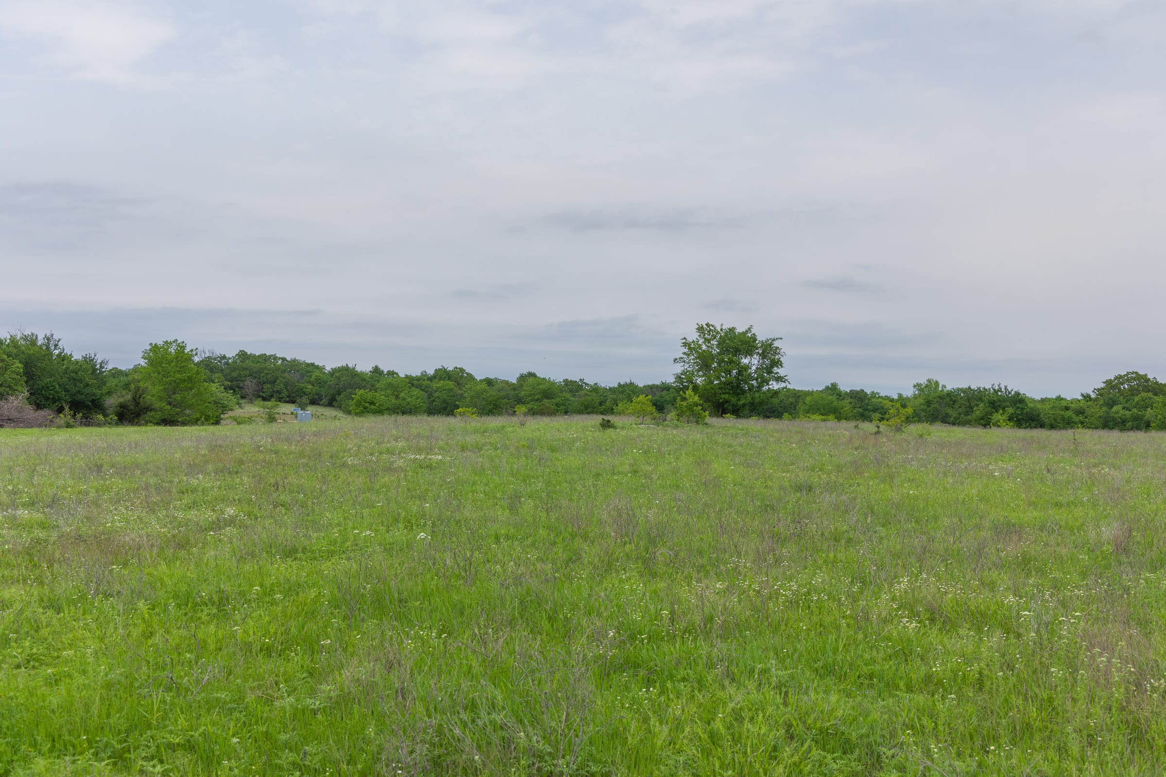 Harmony Hills Tract 15 photo 13