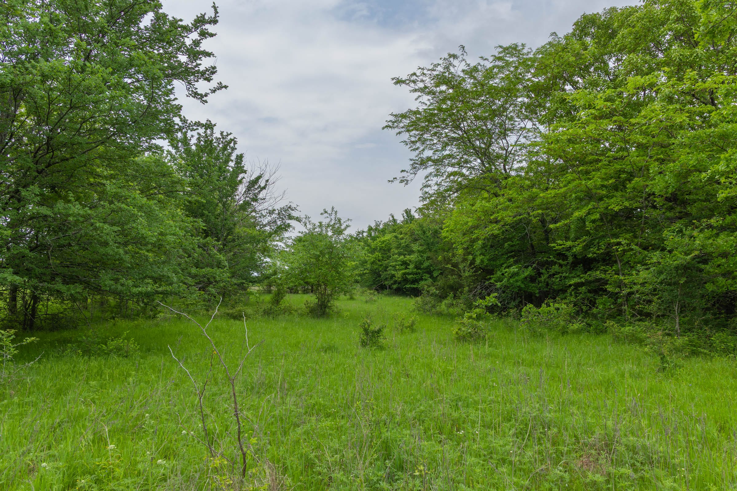 Harmony Hills Tract 15 photo 8