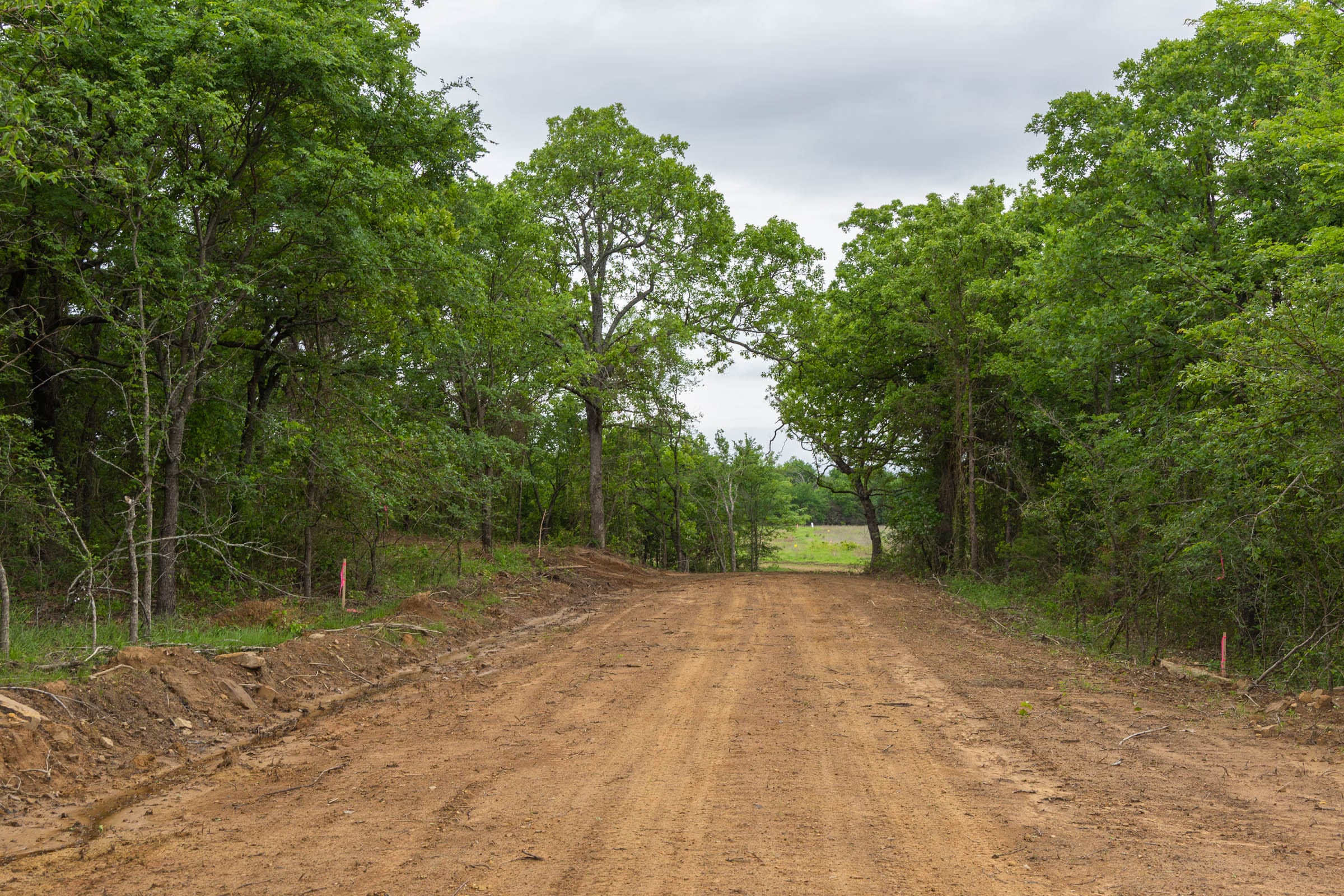 Harmony Hills Tract 15 photo 4