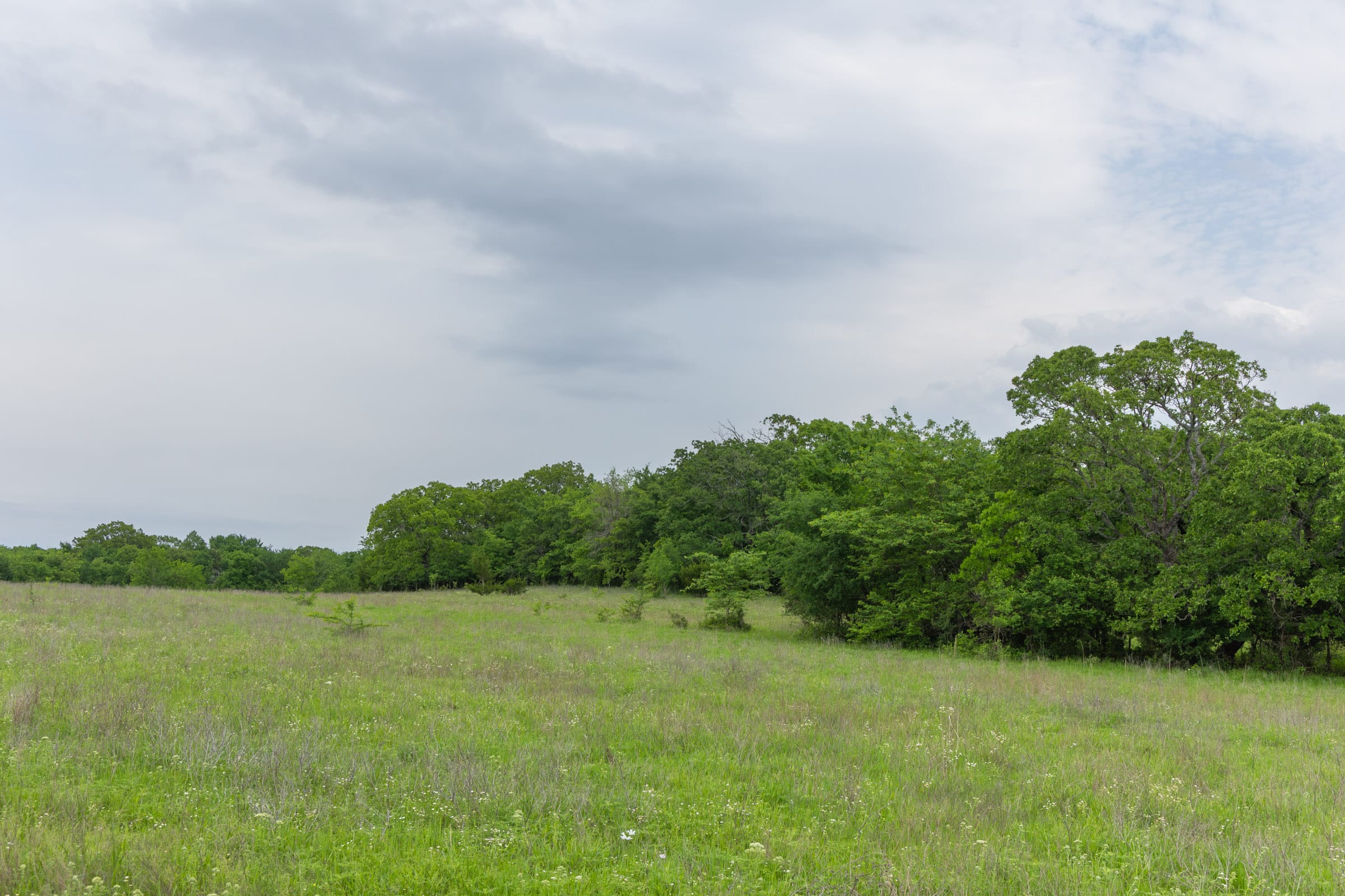Harmony Hills Tract 15 photo 7