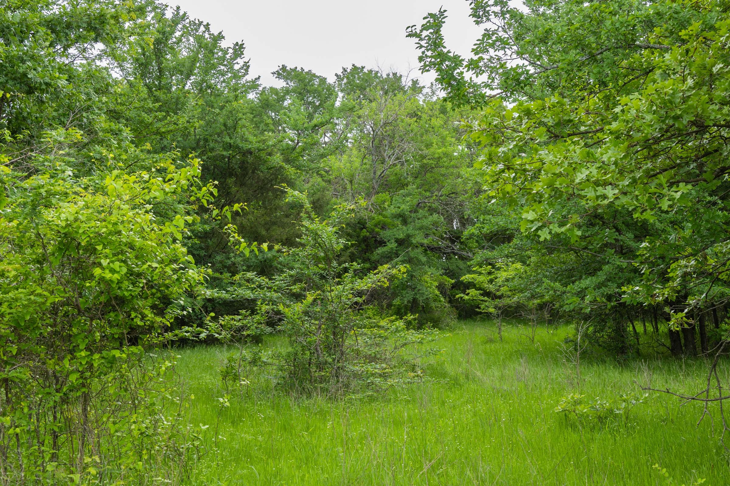 Harmony Hills Tract 15 photo 15