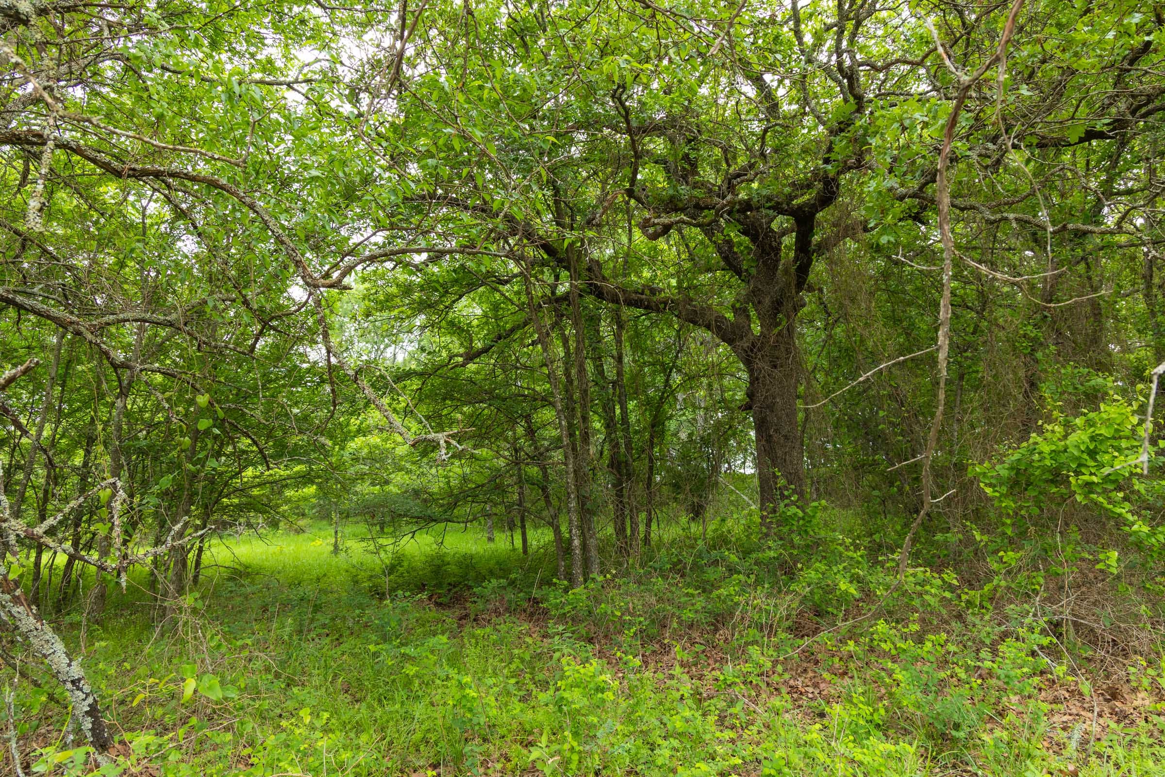 Harmony Hills Tract 15 photo 10