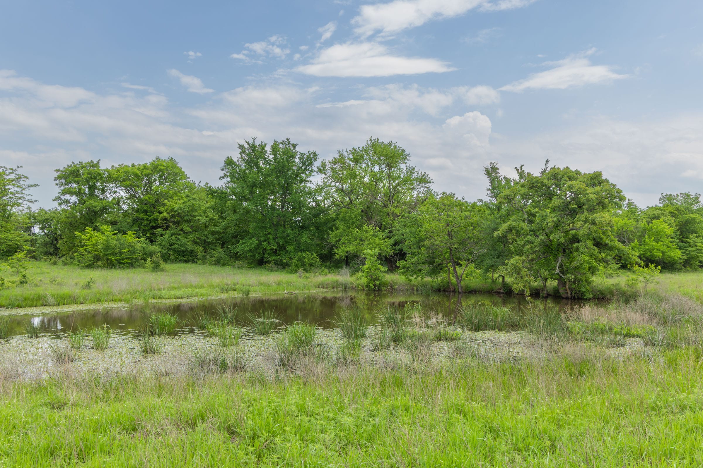 Harmony Hills Tract 15 photo 1
