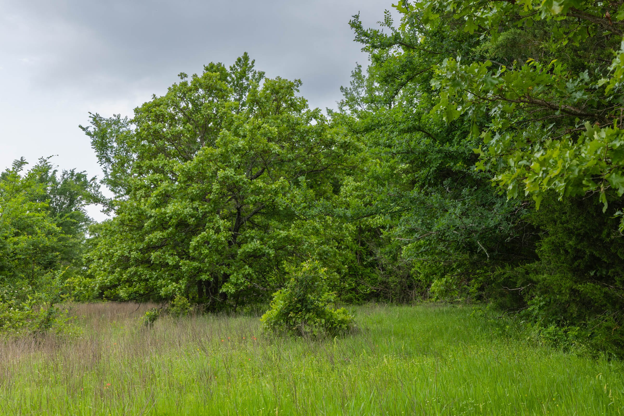 Harmony Hills Tract 15 photo 11