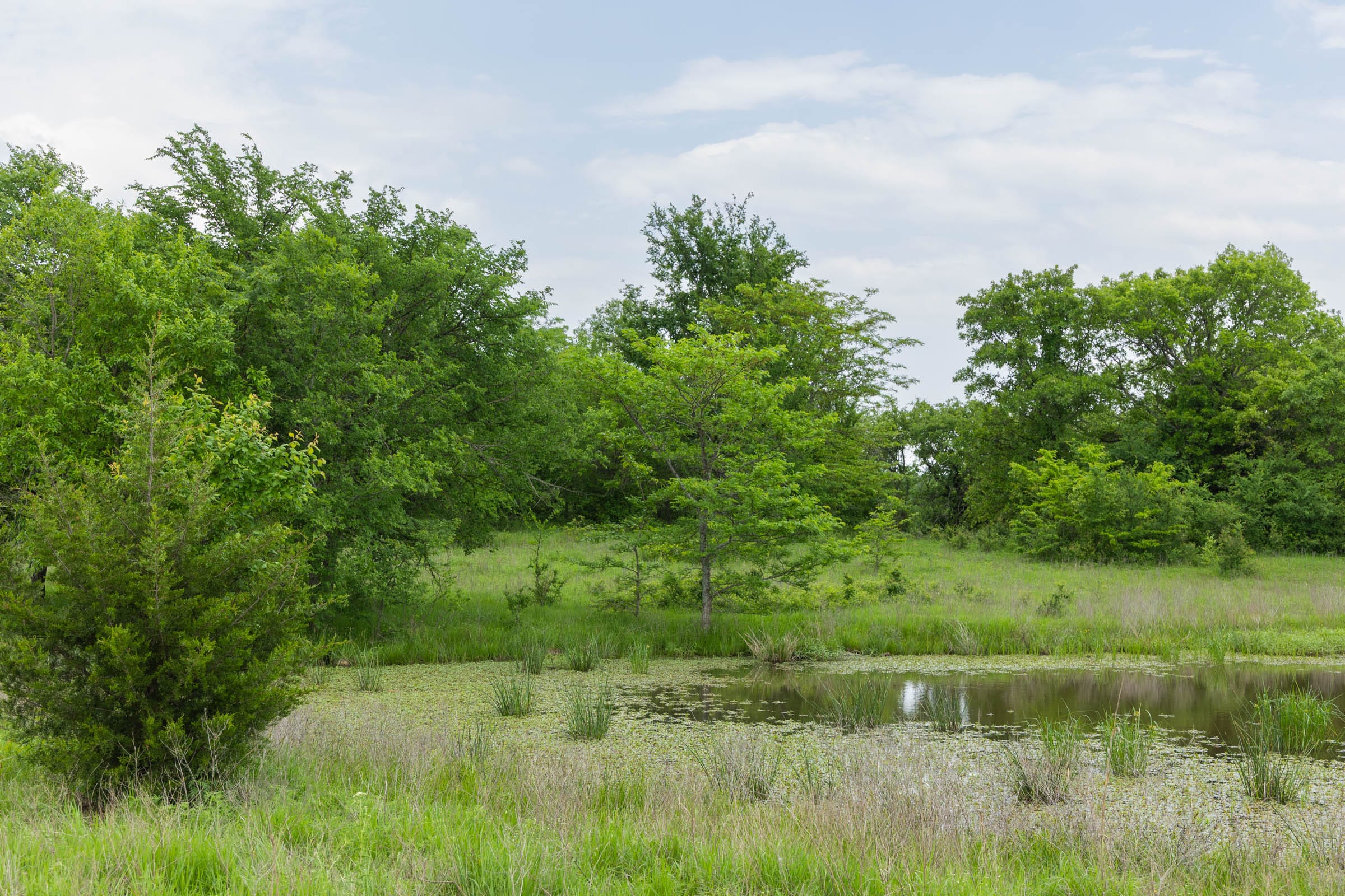 Harmony Hills Tract 15 photo 9