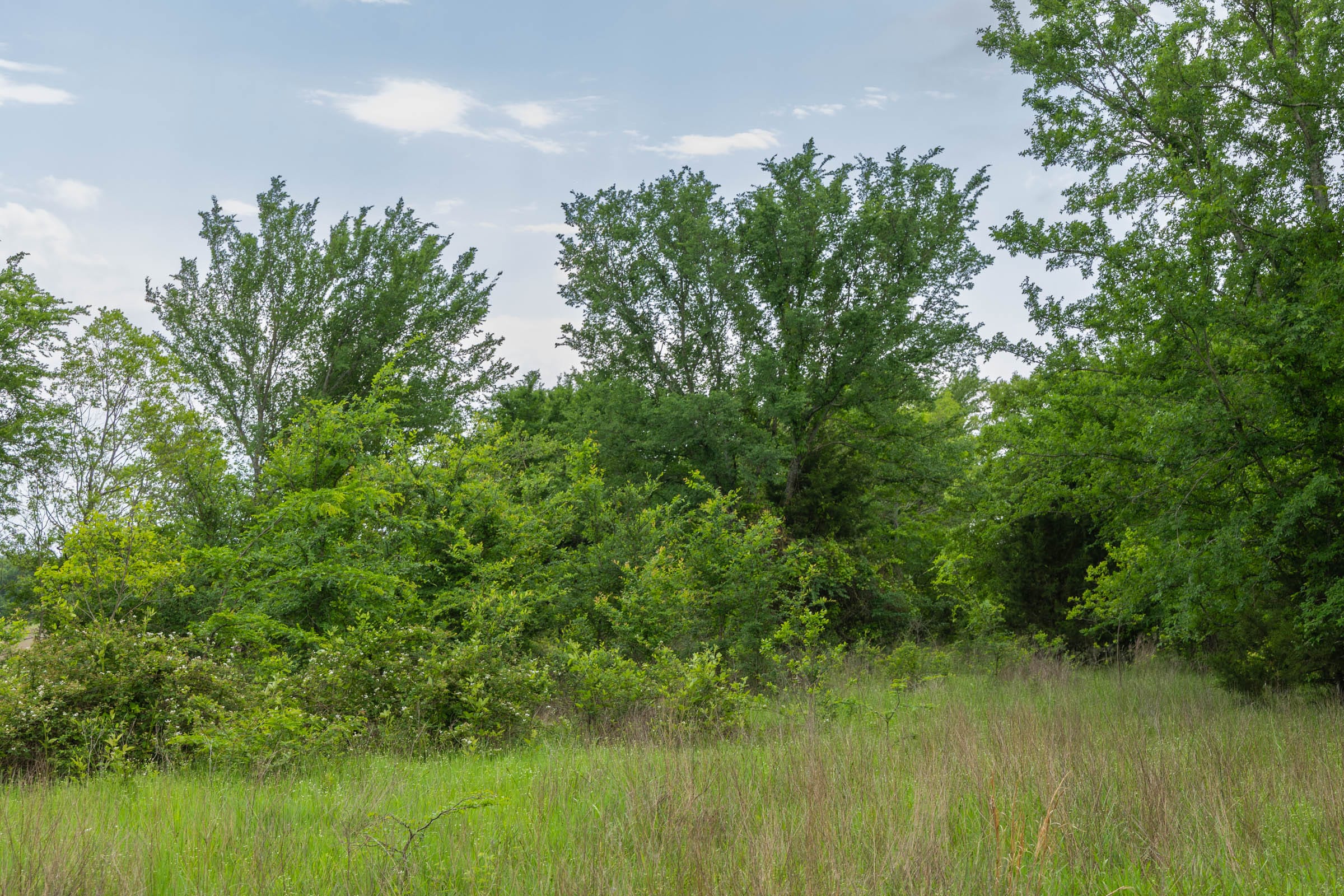Harmony Hills Tract 15 photo 6