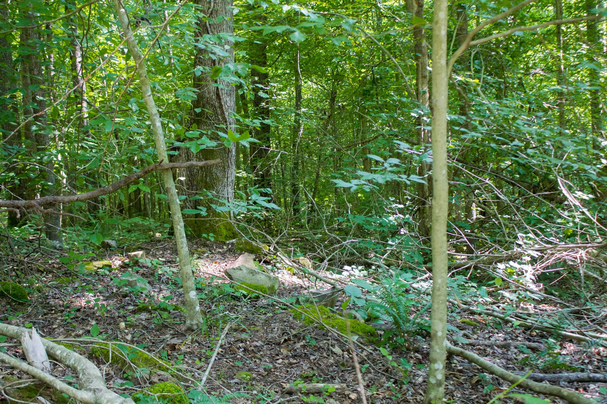 Bluewater Ridge Tract 17 photo 11
