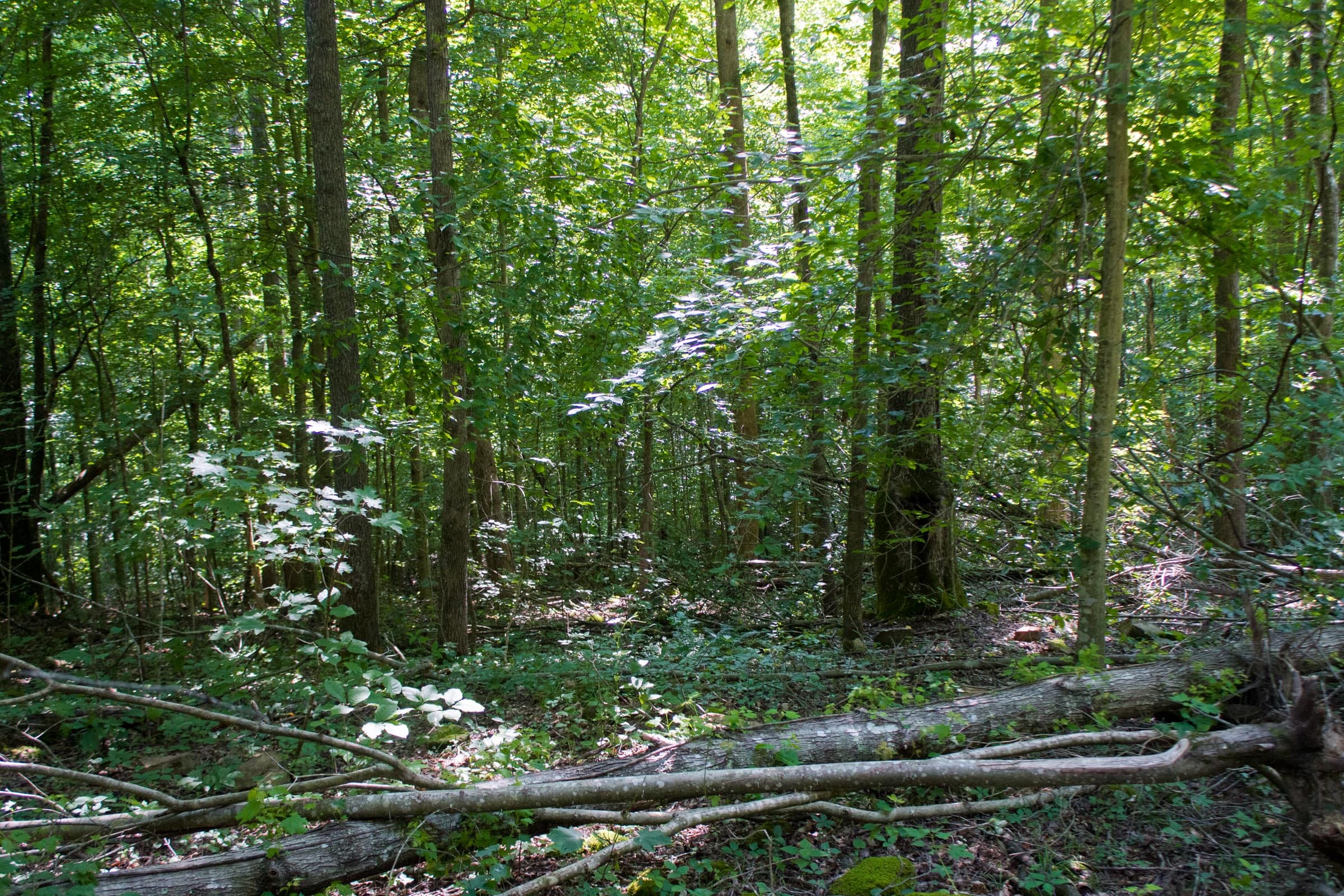 Bluewater Ridge Tract 17 photo 12