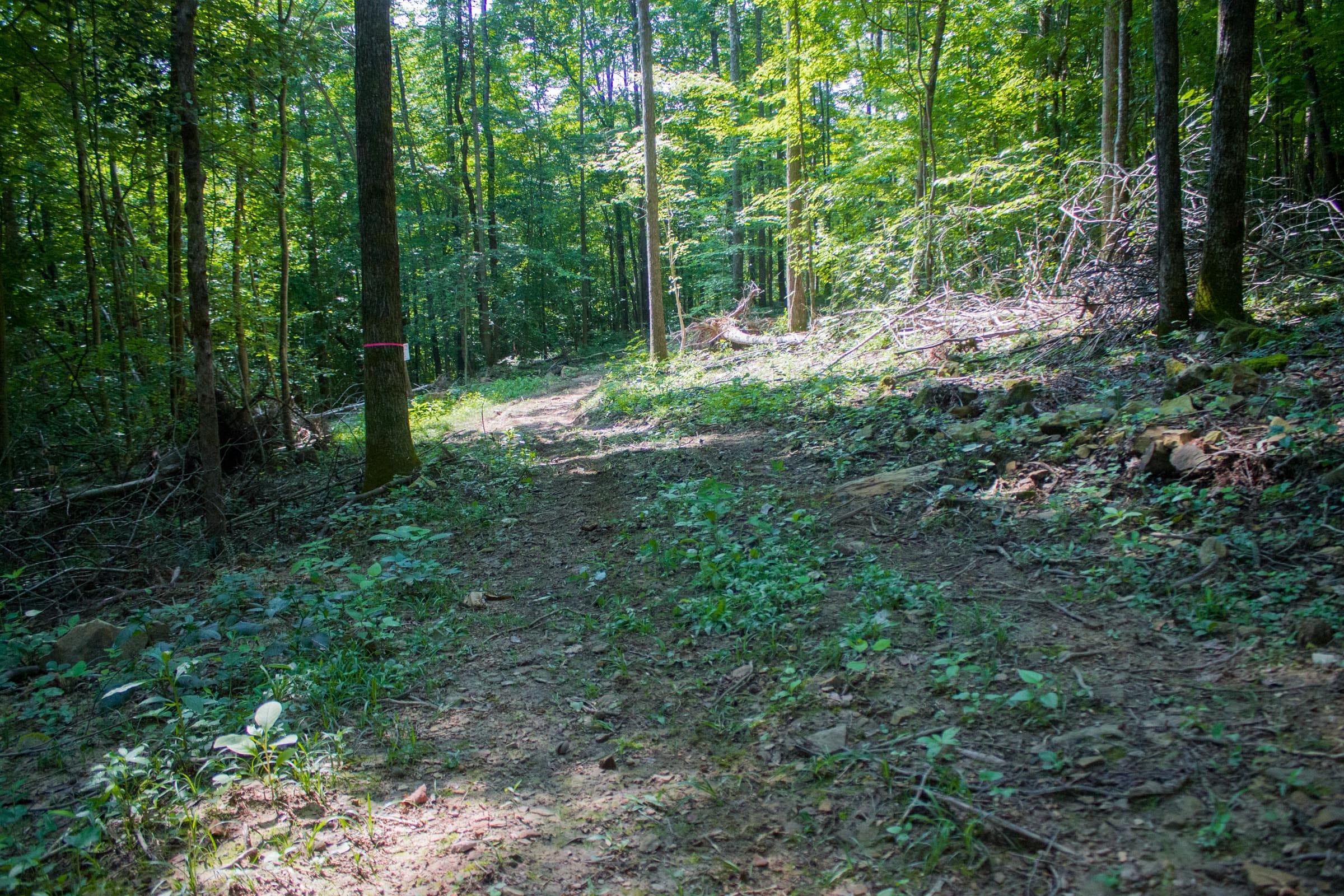 Bluewater Ridge Tract 17 photo 1