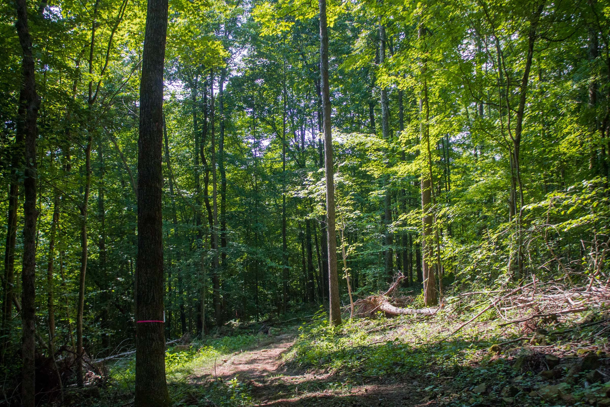 Bluewater Ridge Tract 17 photo 13
