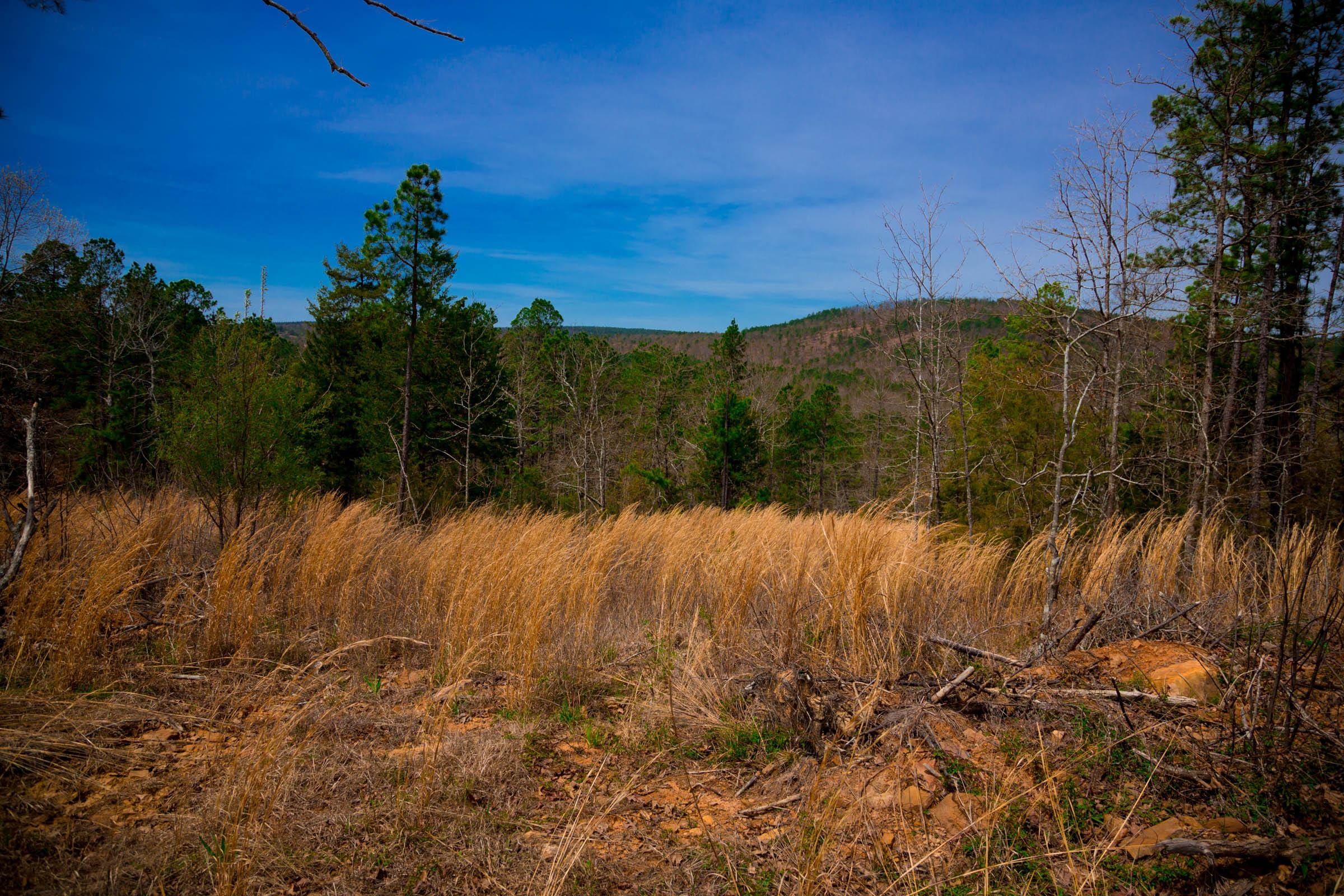 Stone Creek Phase II Tract 207 photo 7