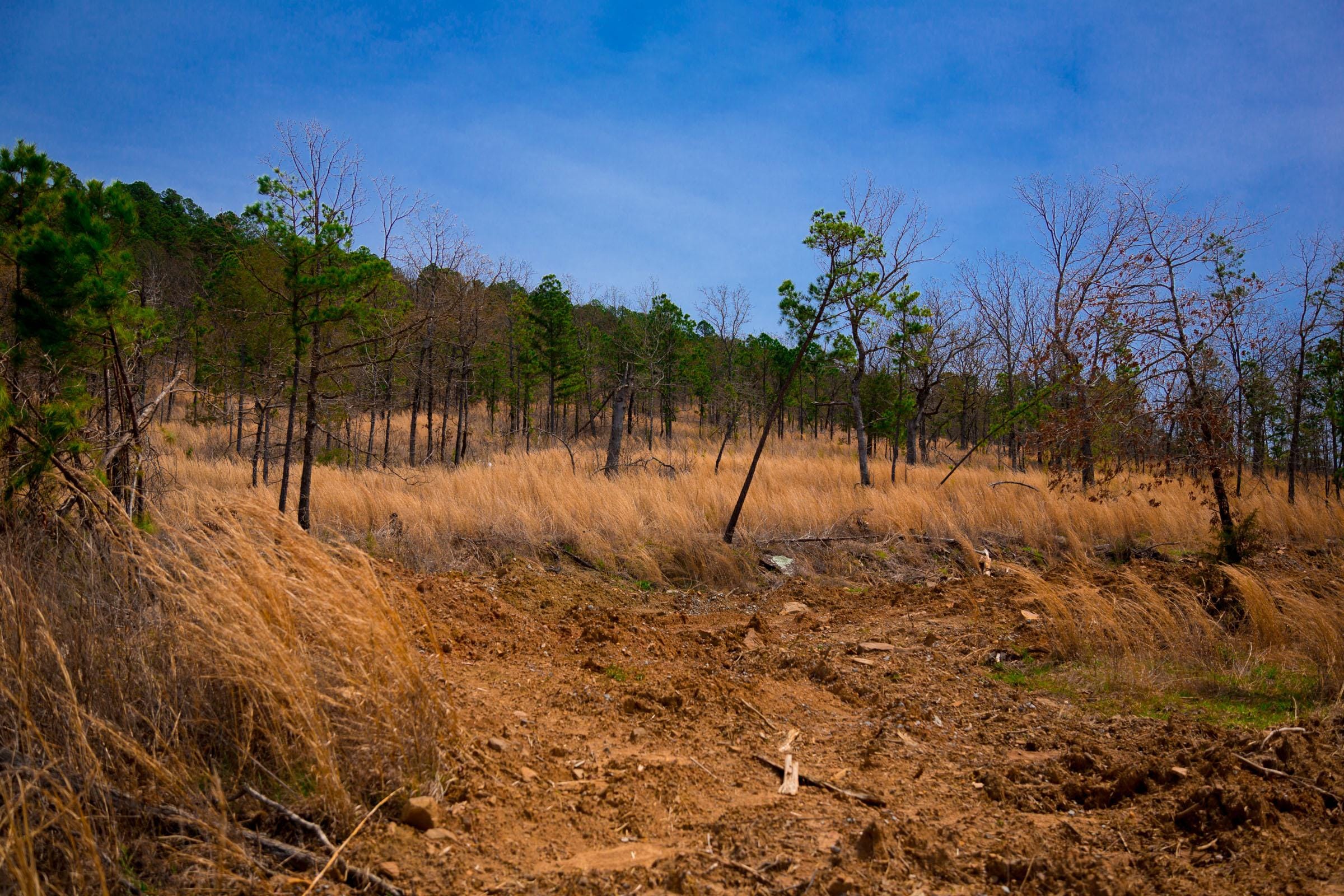 Stone Creek Phase II Tract 207 photo 8