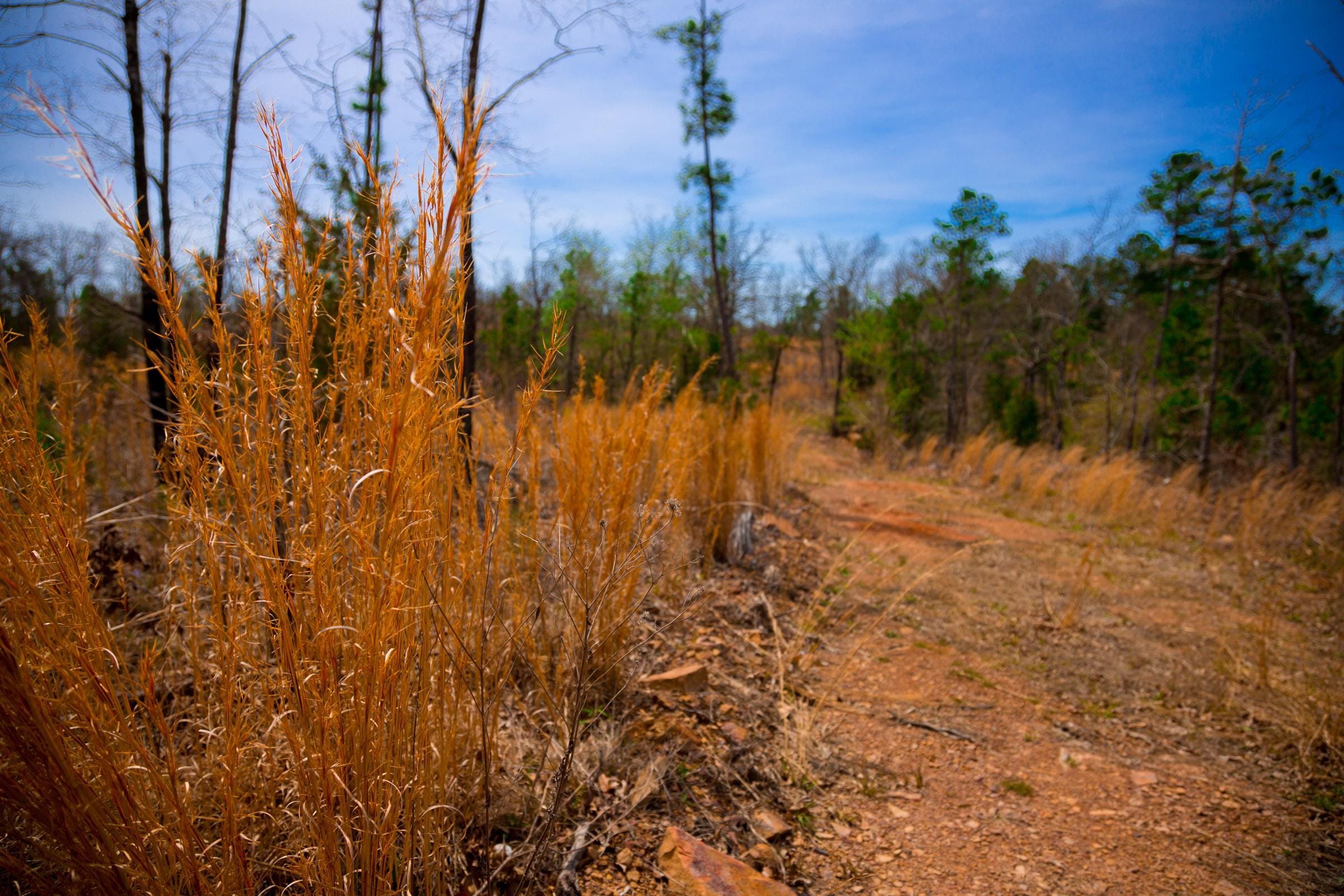 Stone Creek Phase II Tract 207 photo 2
