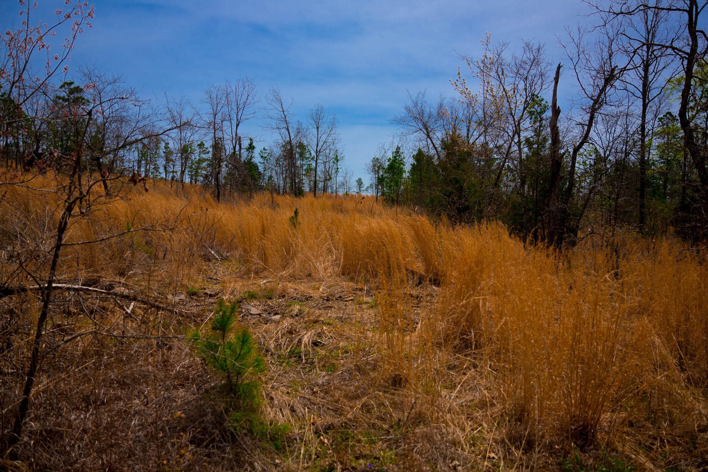 Stone Creek Phase II Tract 207 photo 9