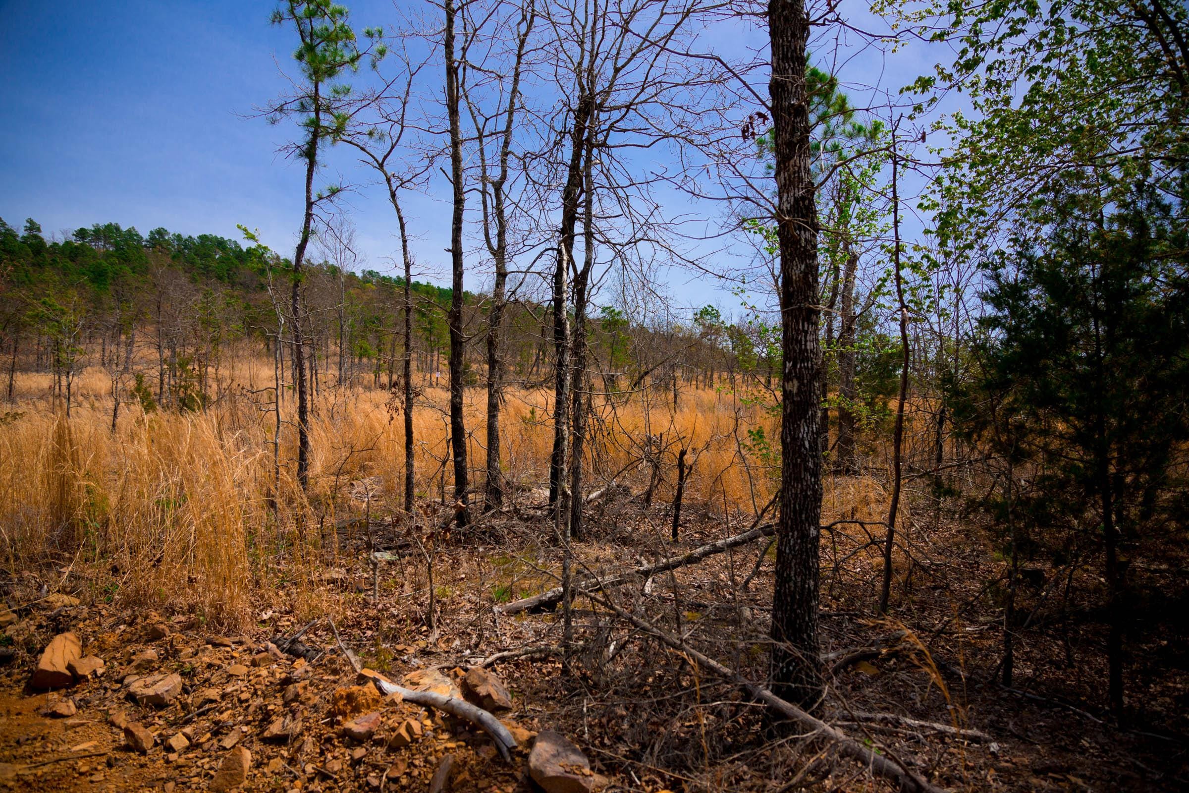 Stone Creek Phase II Tract 207 photo 10