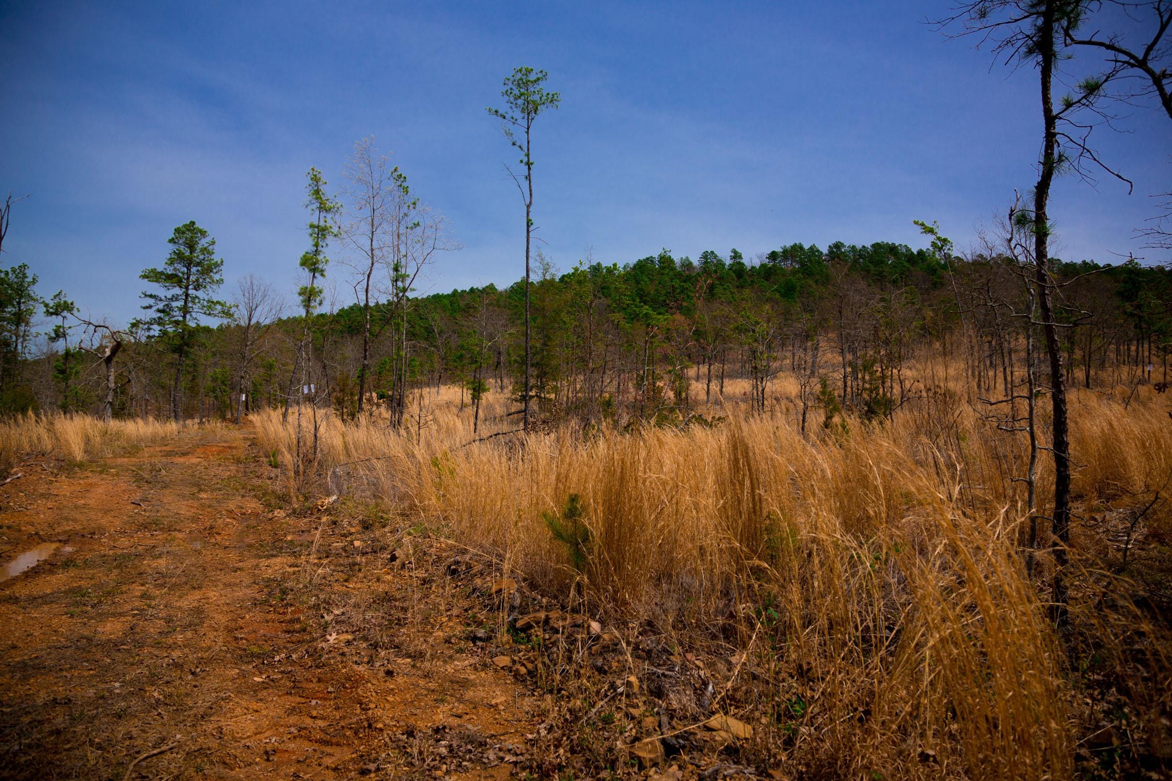 Stone Creek Phase II Tract 207 photo 11