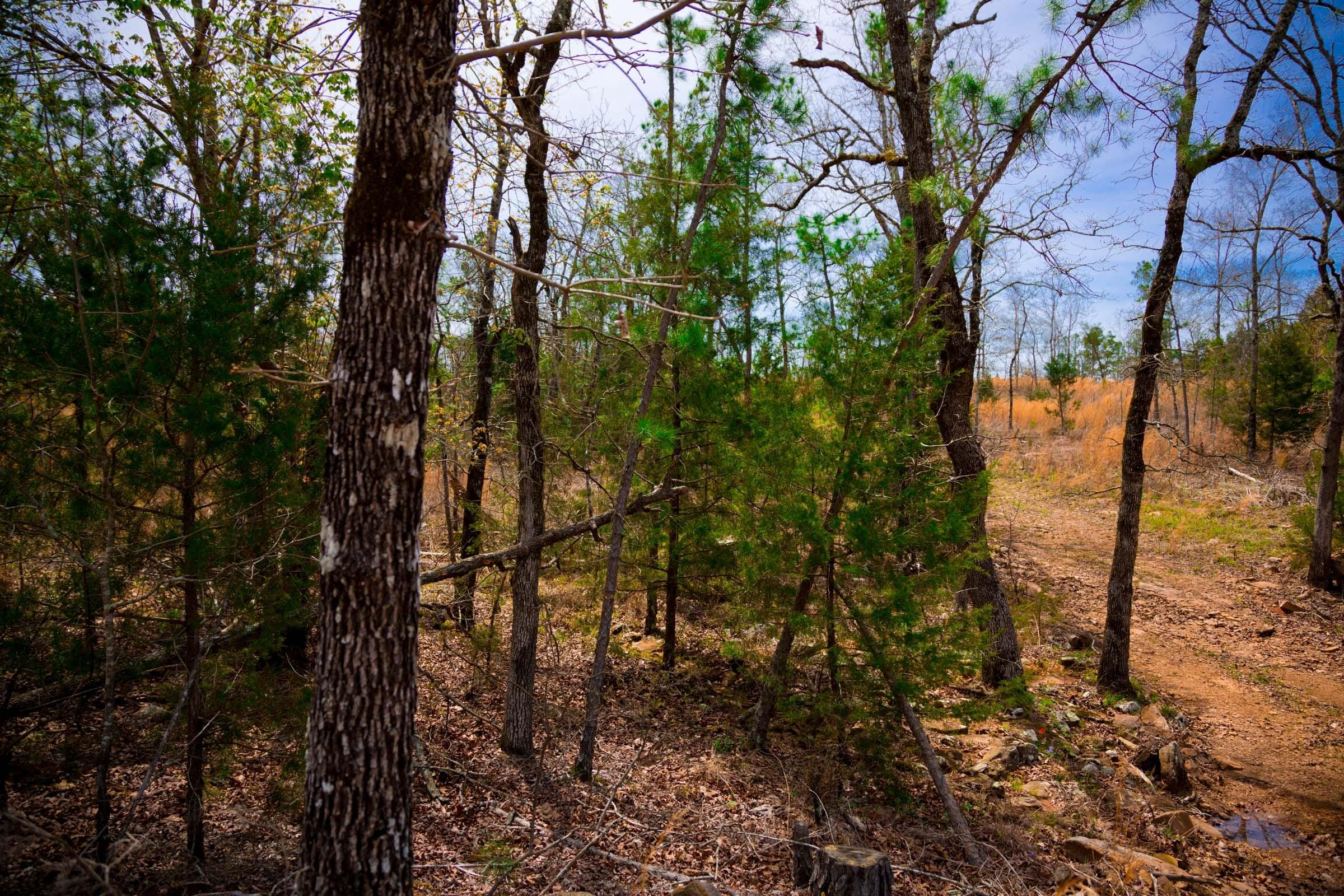 Stone Creek Phase II Tract 207 photo 12