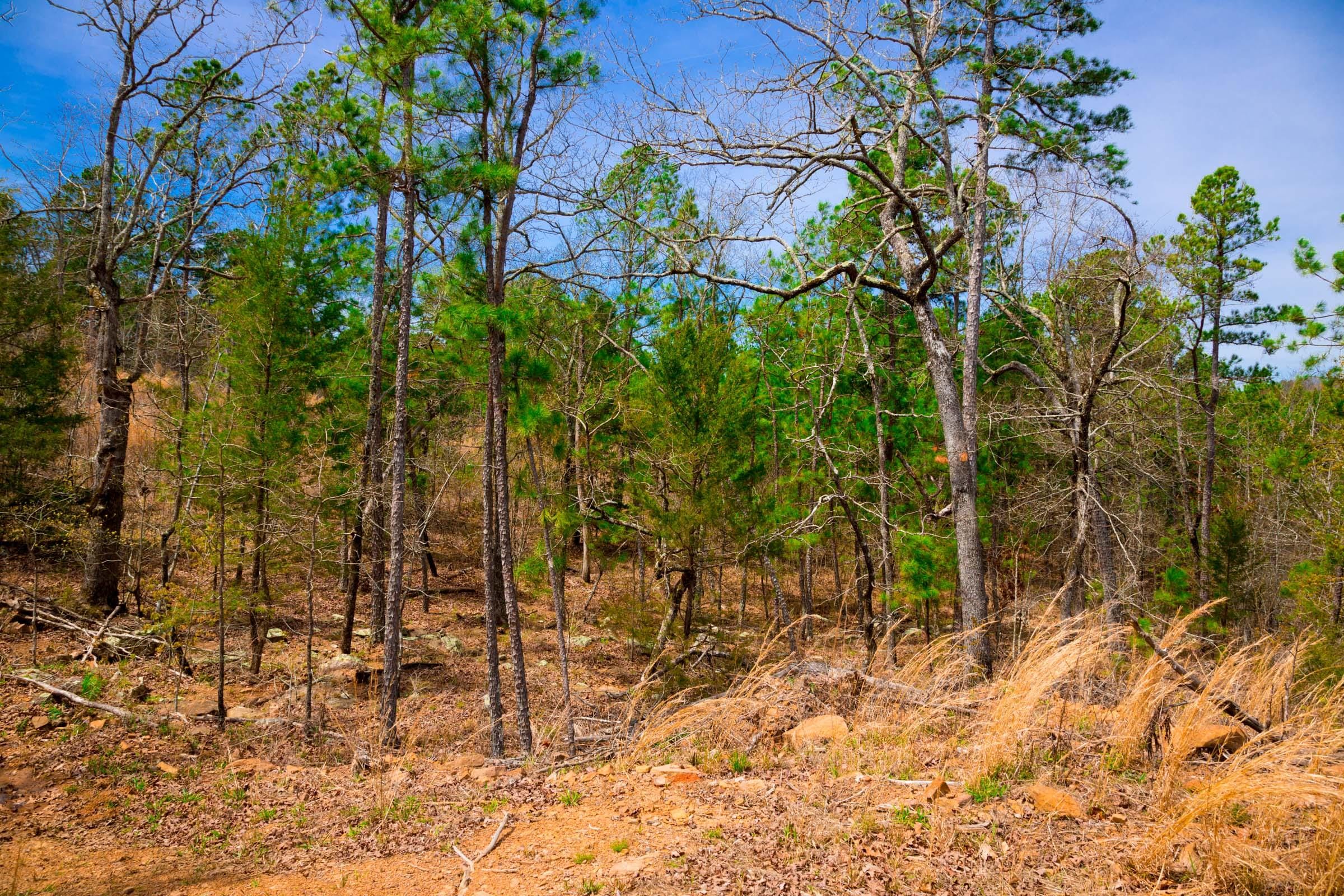 Stone Creek Phase II Tract 207 photo 13