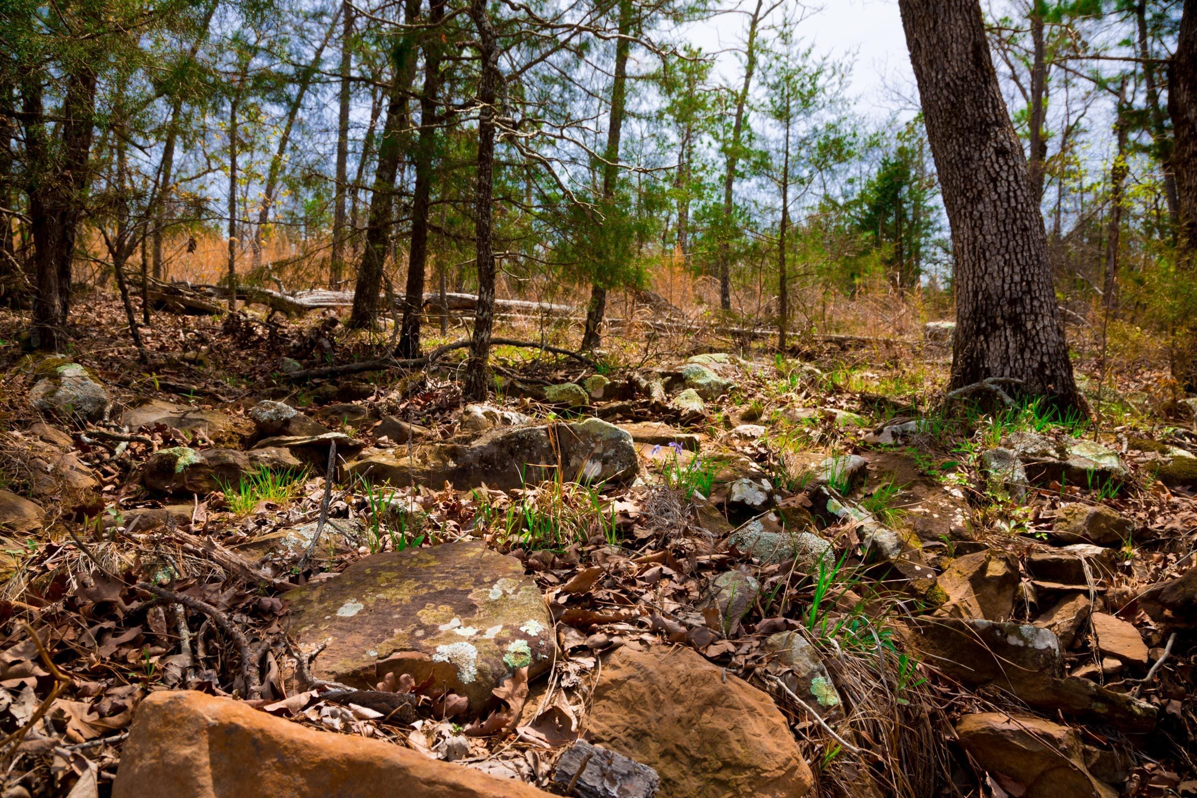 Stone Creek Phase II Tract 207 photo 14