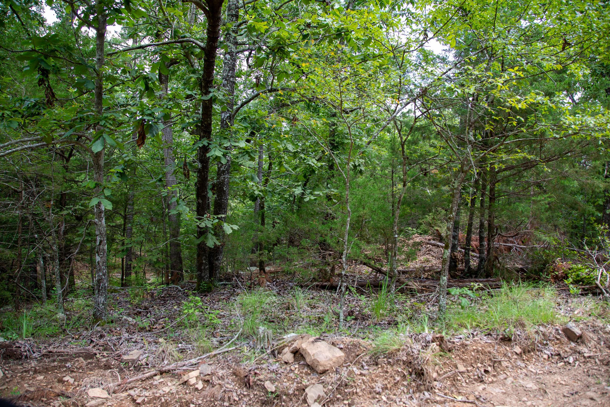 Tyler Stone Ranch Tract 49 photo 3