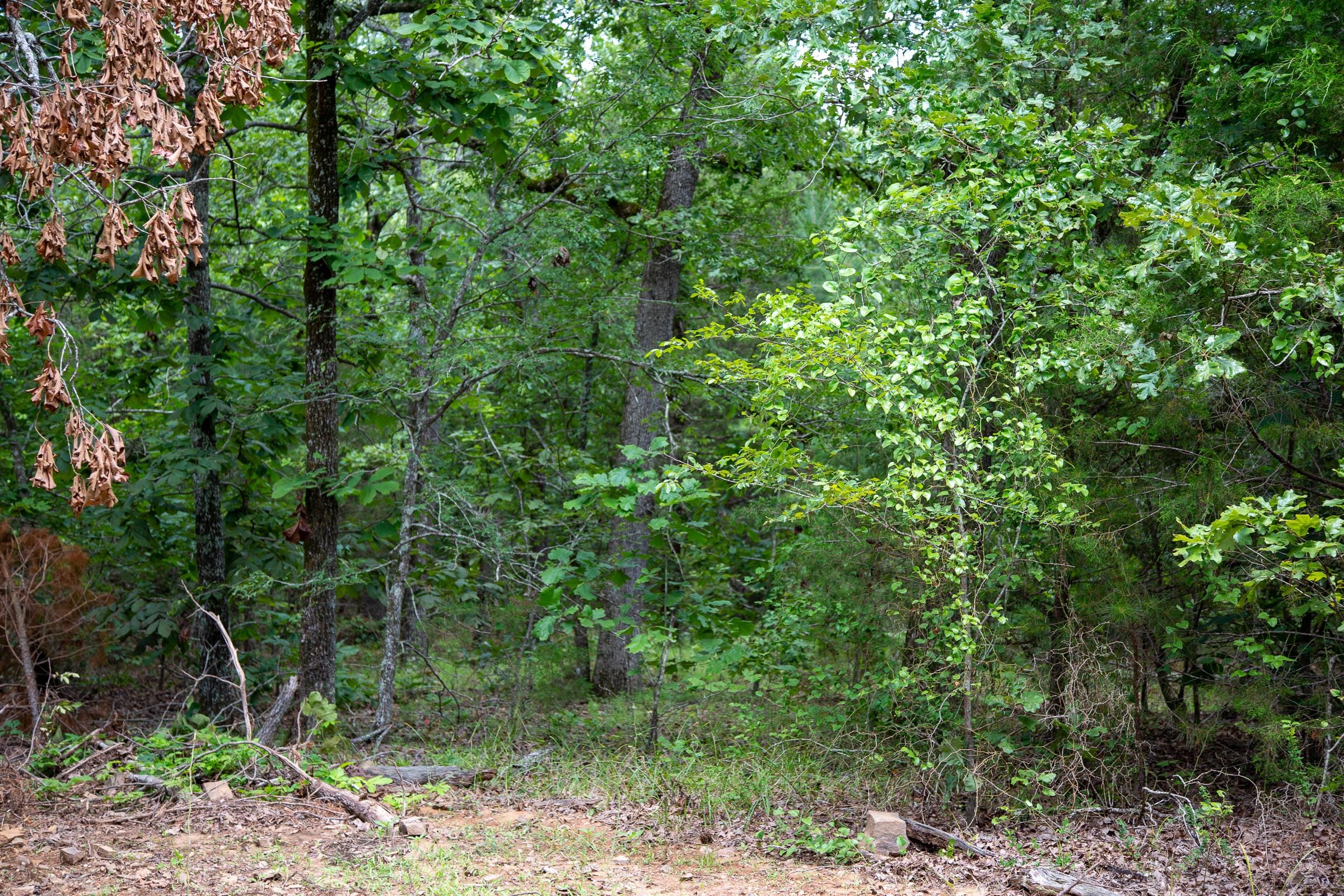 Tyler Stone Ranch Tract 49 photo 4