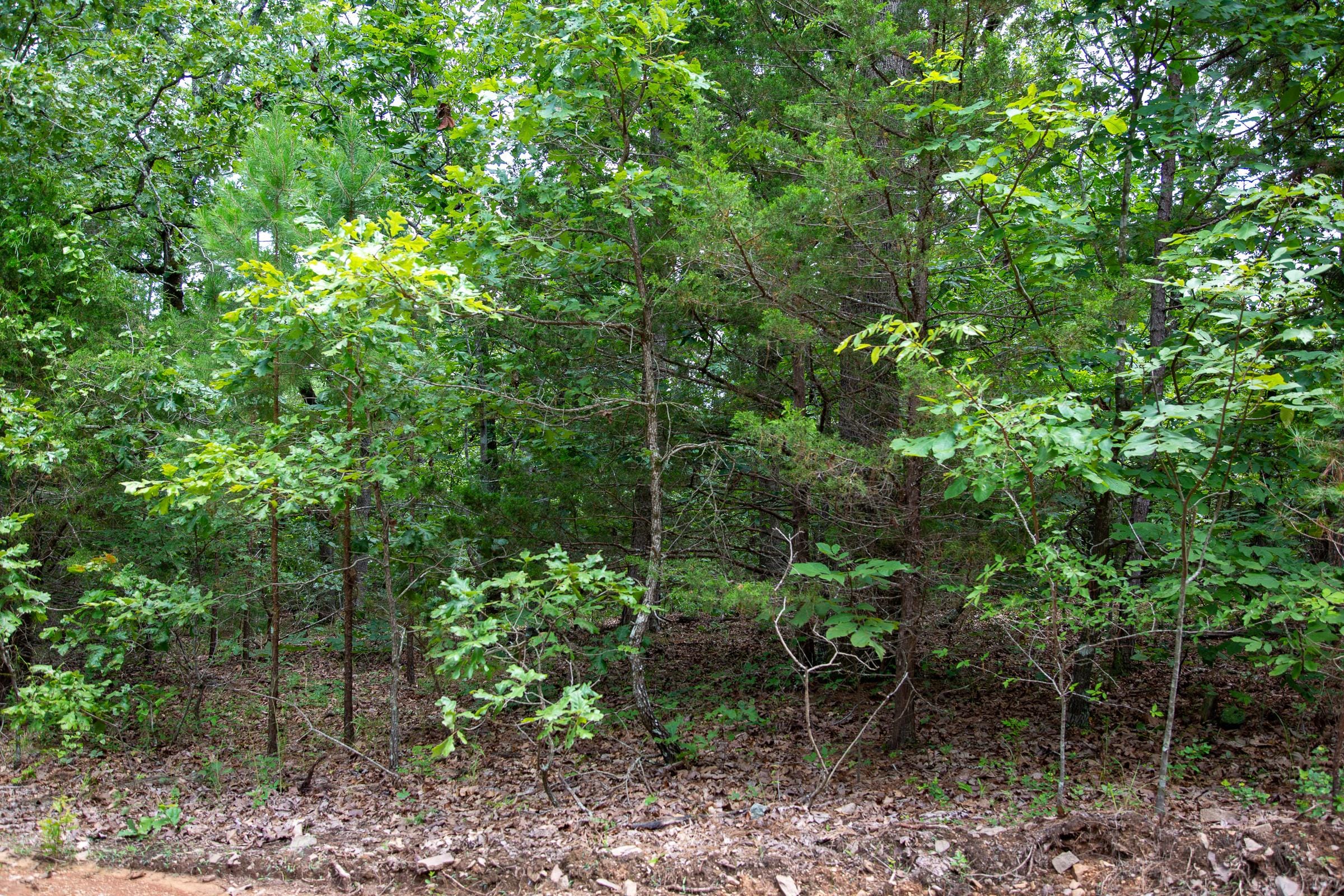Tyler Stone Ranch Tract 49 photo 5