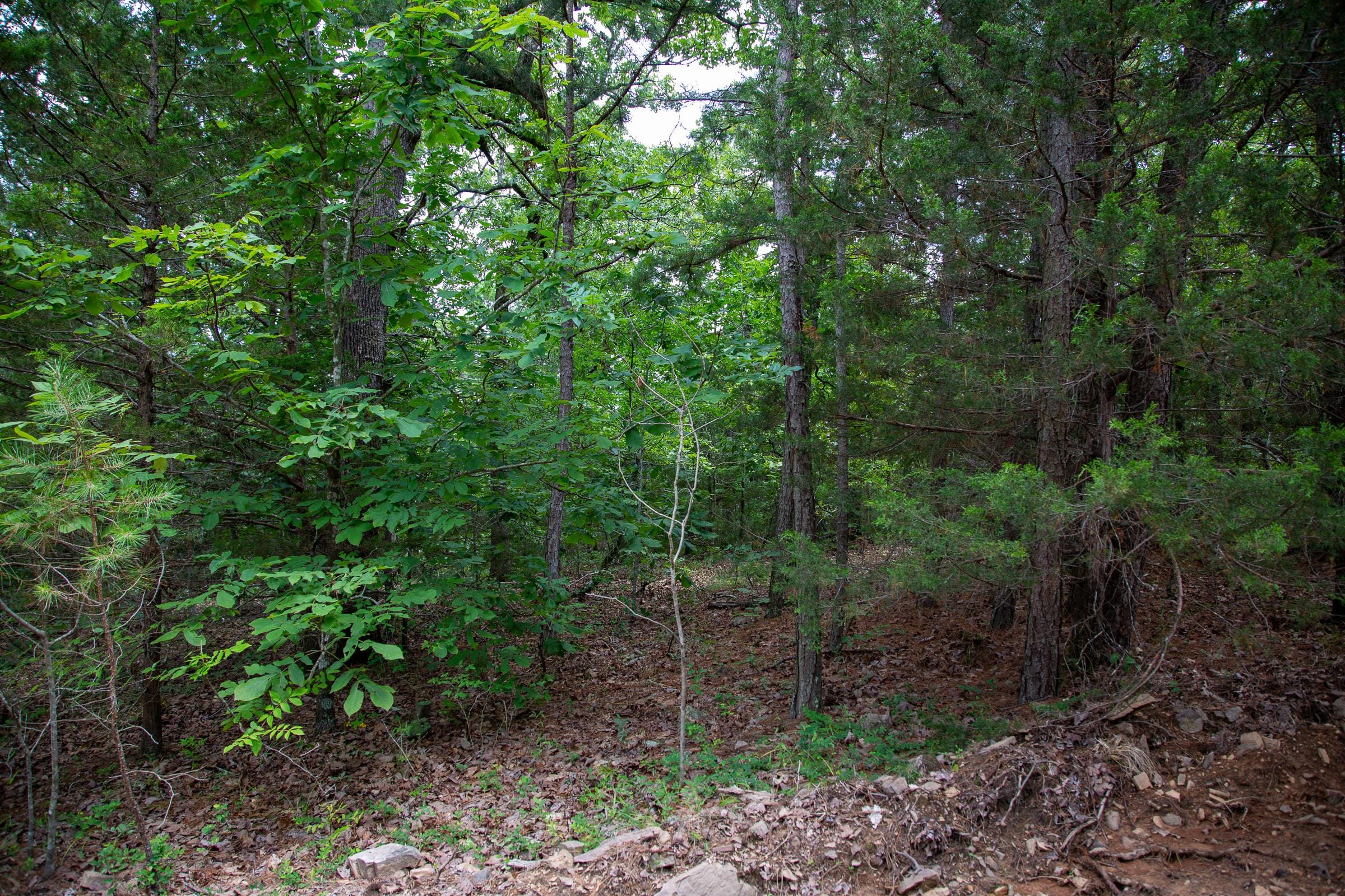 Tyler Stone Ranch Tract 49 photo 6