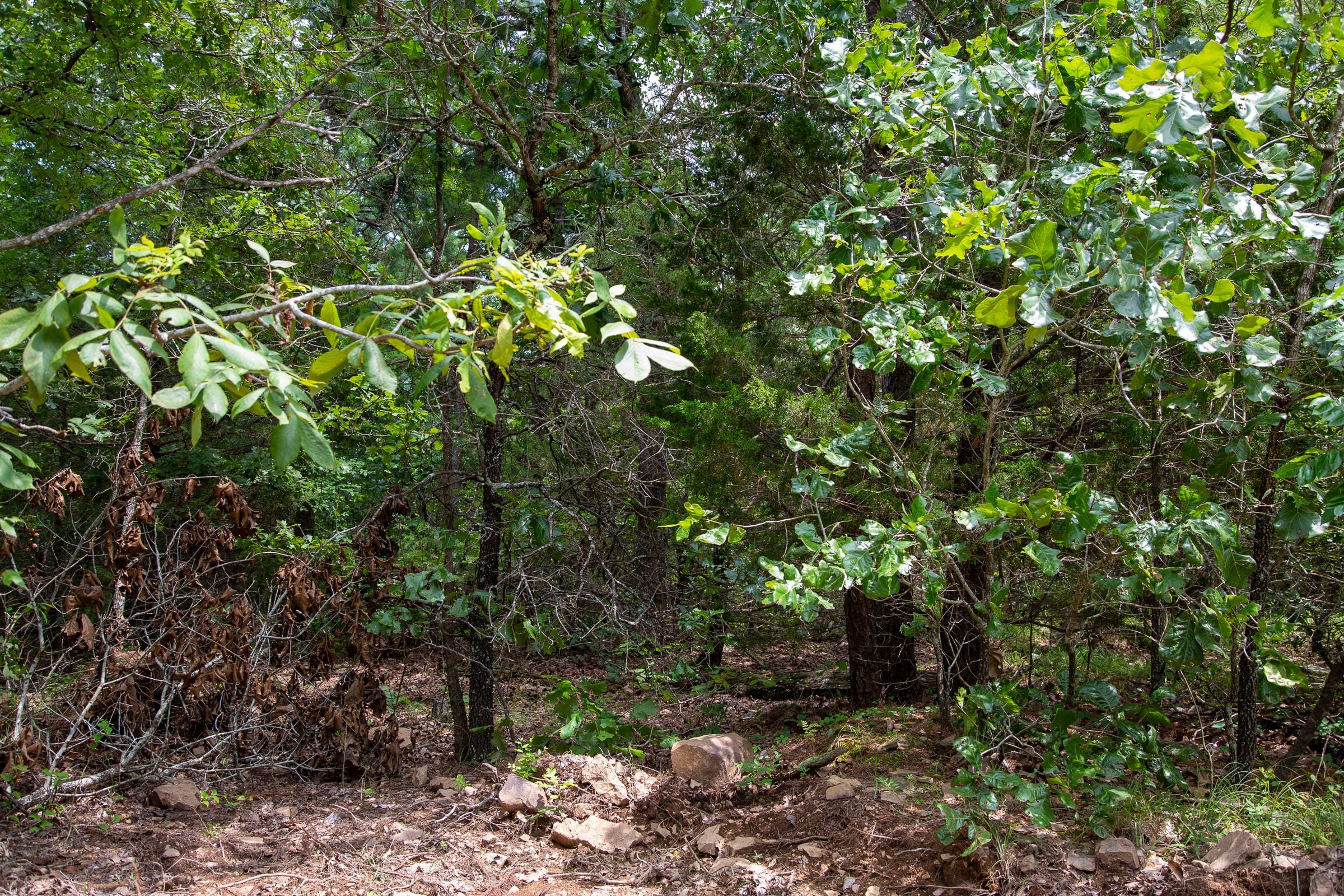 Tyler Stone Ranch Tract 49 photo 7
