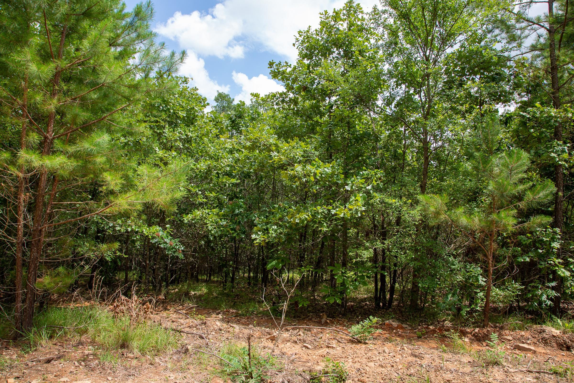 Tyler Stone Ranch Tract 49 photo 8