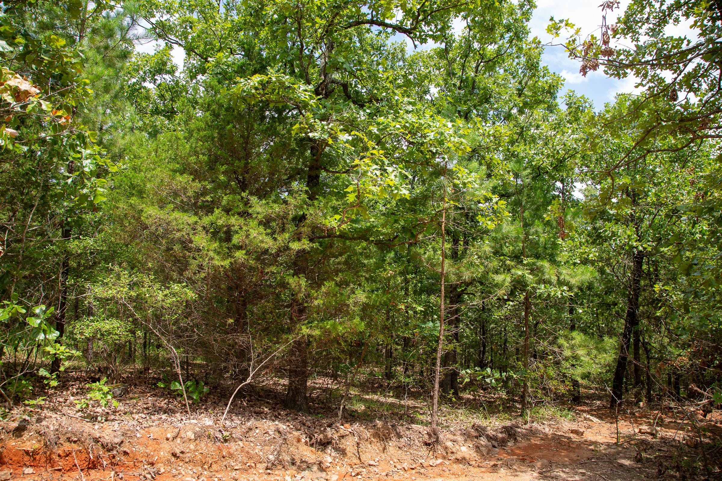 Tyler Stone Ranch Tract 49 photo 10