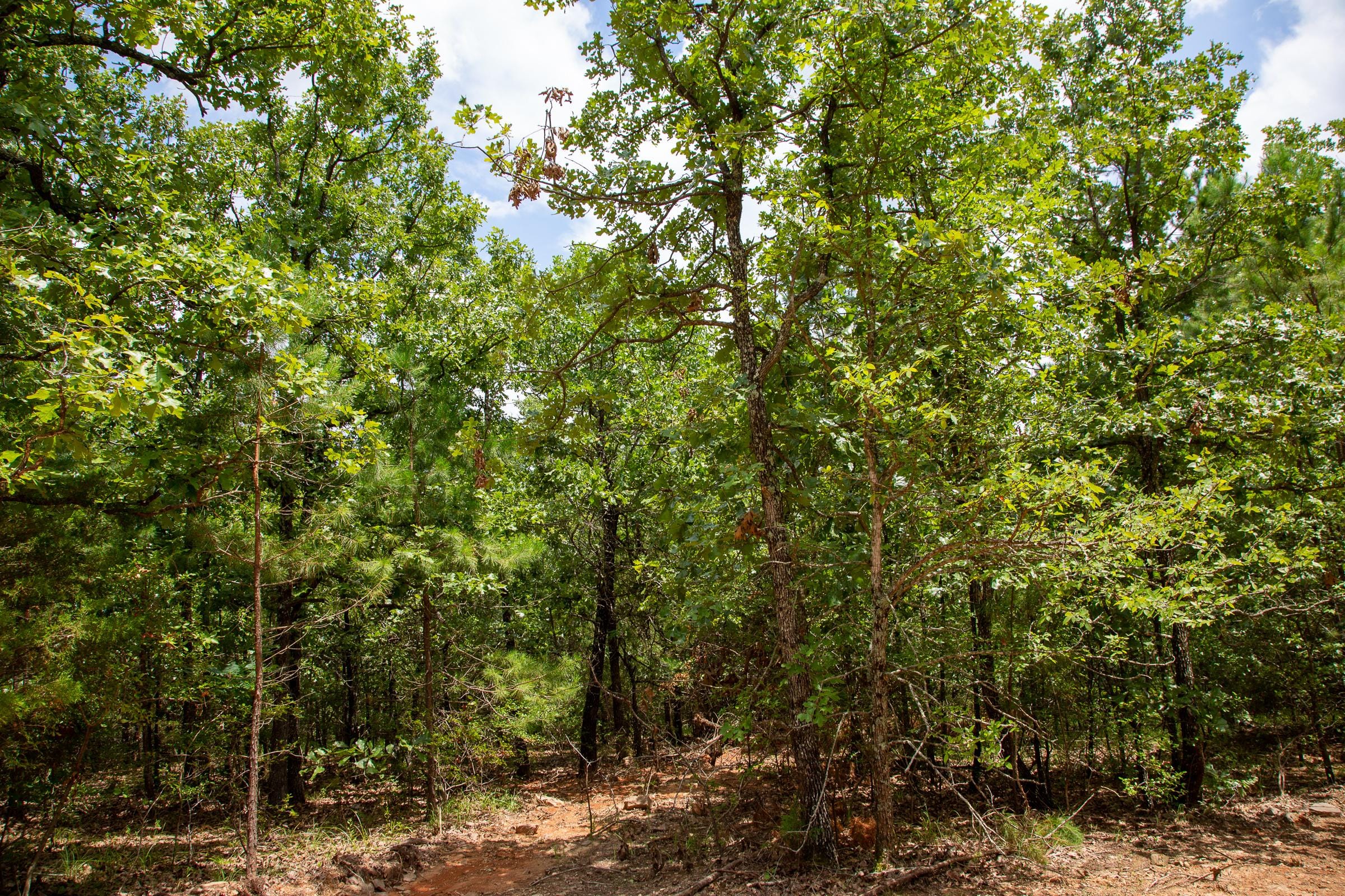 Tyler Stone Ranch Tract 49 photo 11