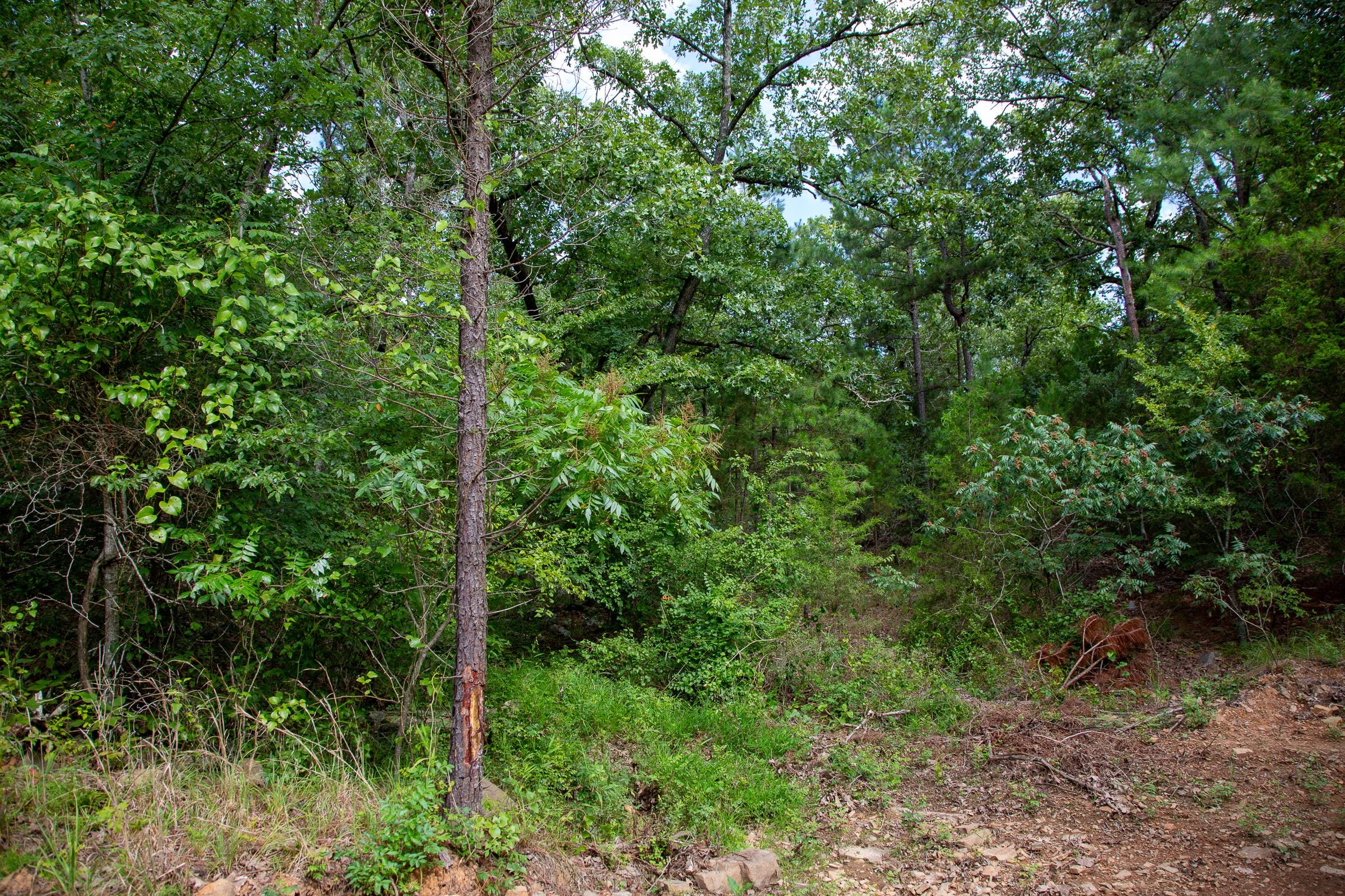 Tyler Stone Ranch Tract 49 photo 1