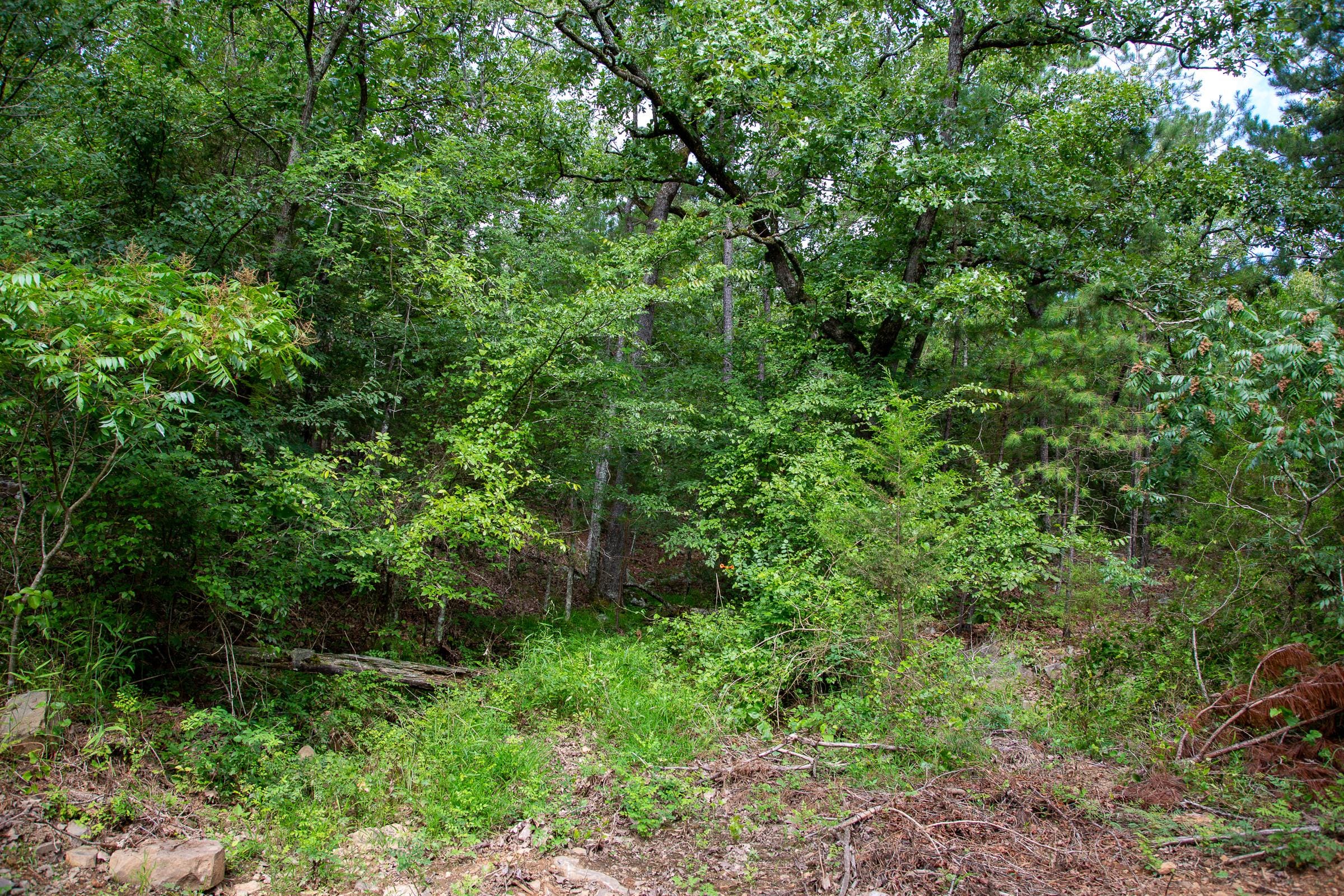 Tyler Stone Ranch Tract 49 photo 13