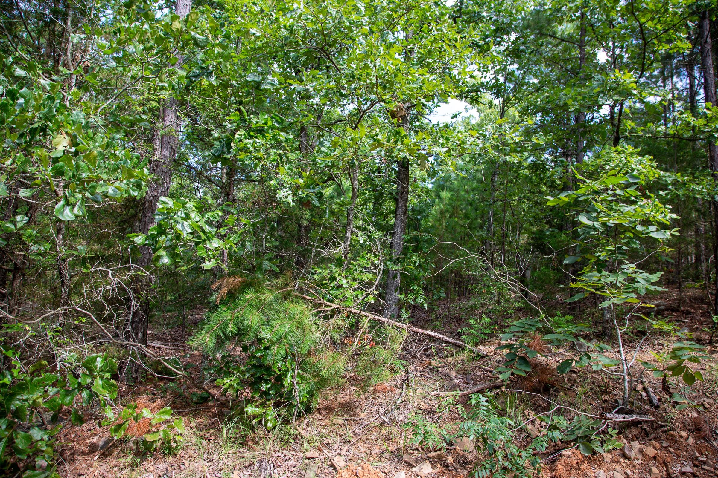 Tyler Stone Ranch Tract 49 photo 14