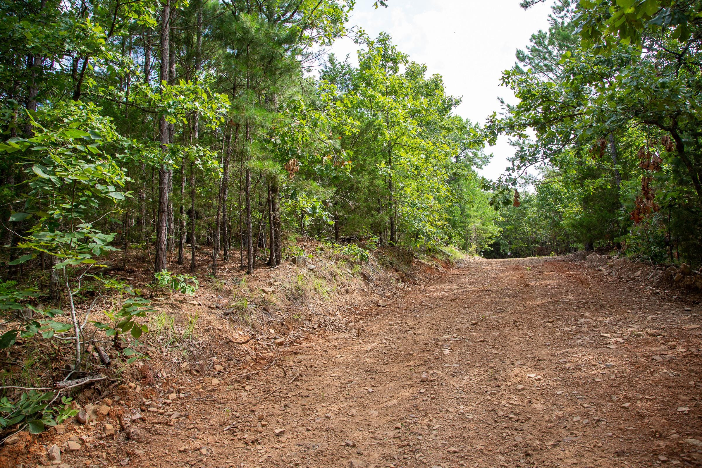 Tyler Stone Ranch Tract 49 photo 15