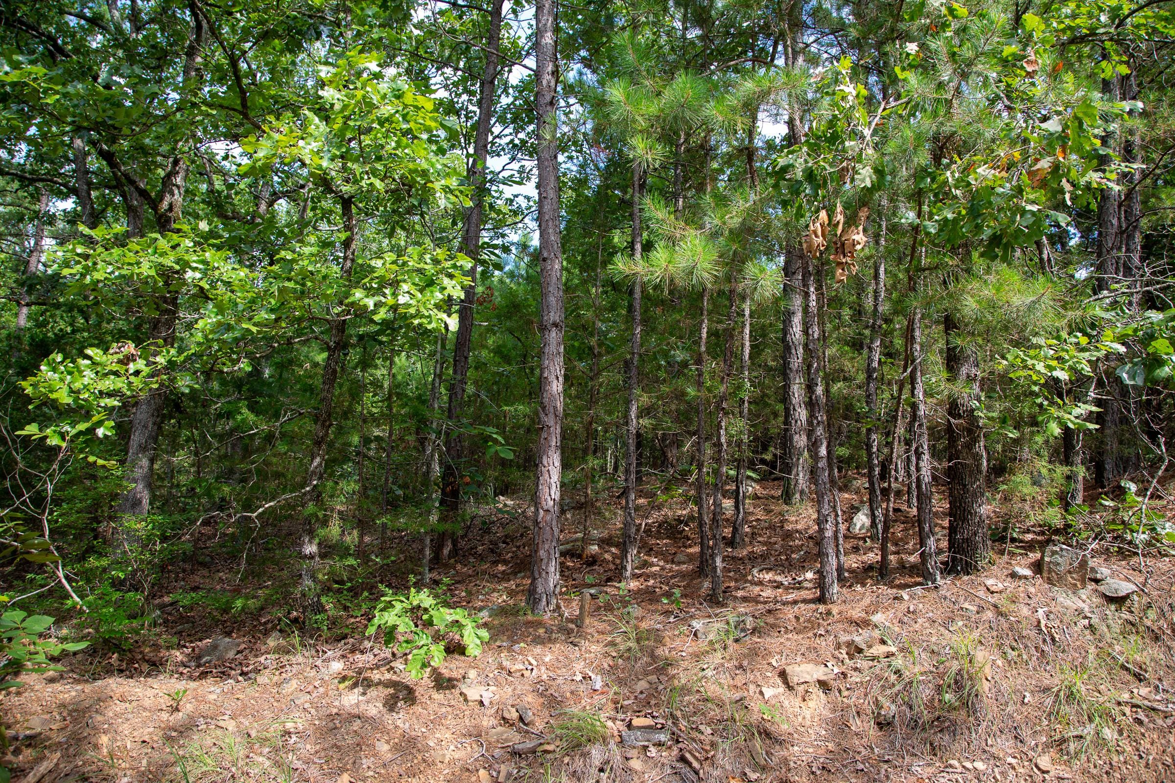 Tyler Stone Ranch Tract 49 photo 16