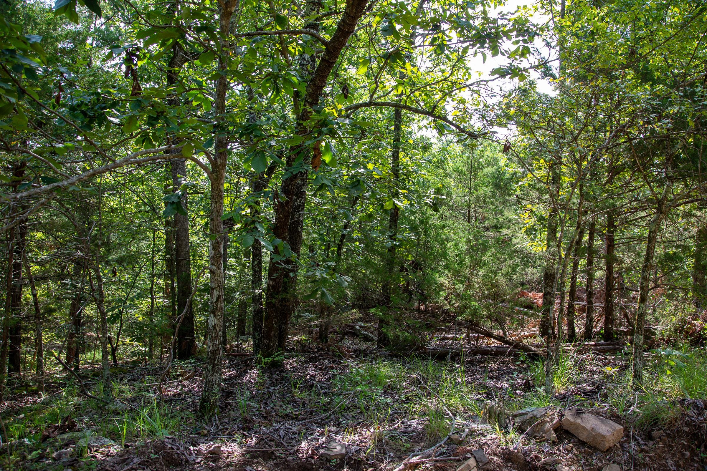 Tyler Stone Ranch Tract 49 photo 19