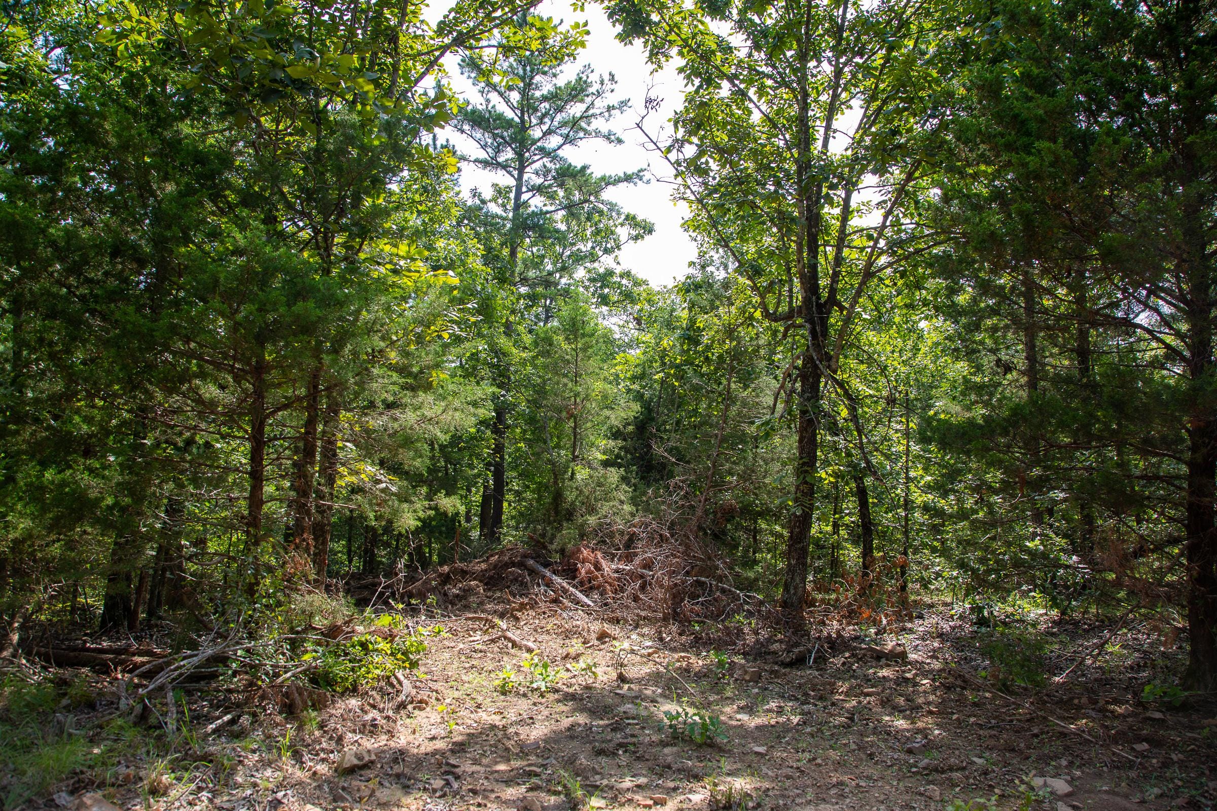 Tyler Stone Ranch Tract 49 photo 20