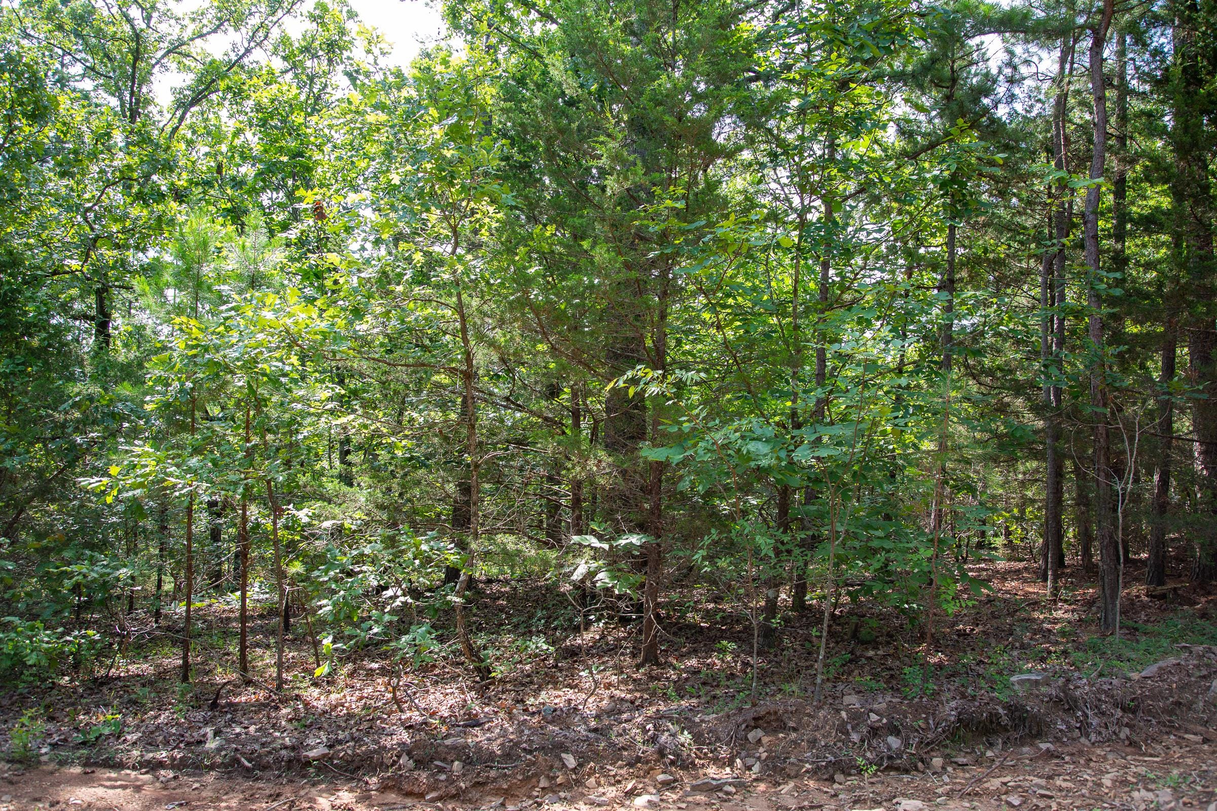 Tyler Stone Ranch Tract 49 photo 21