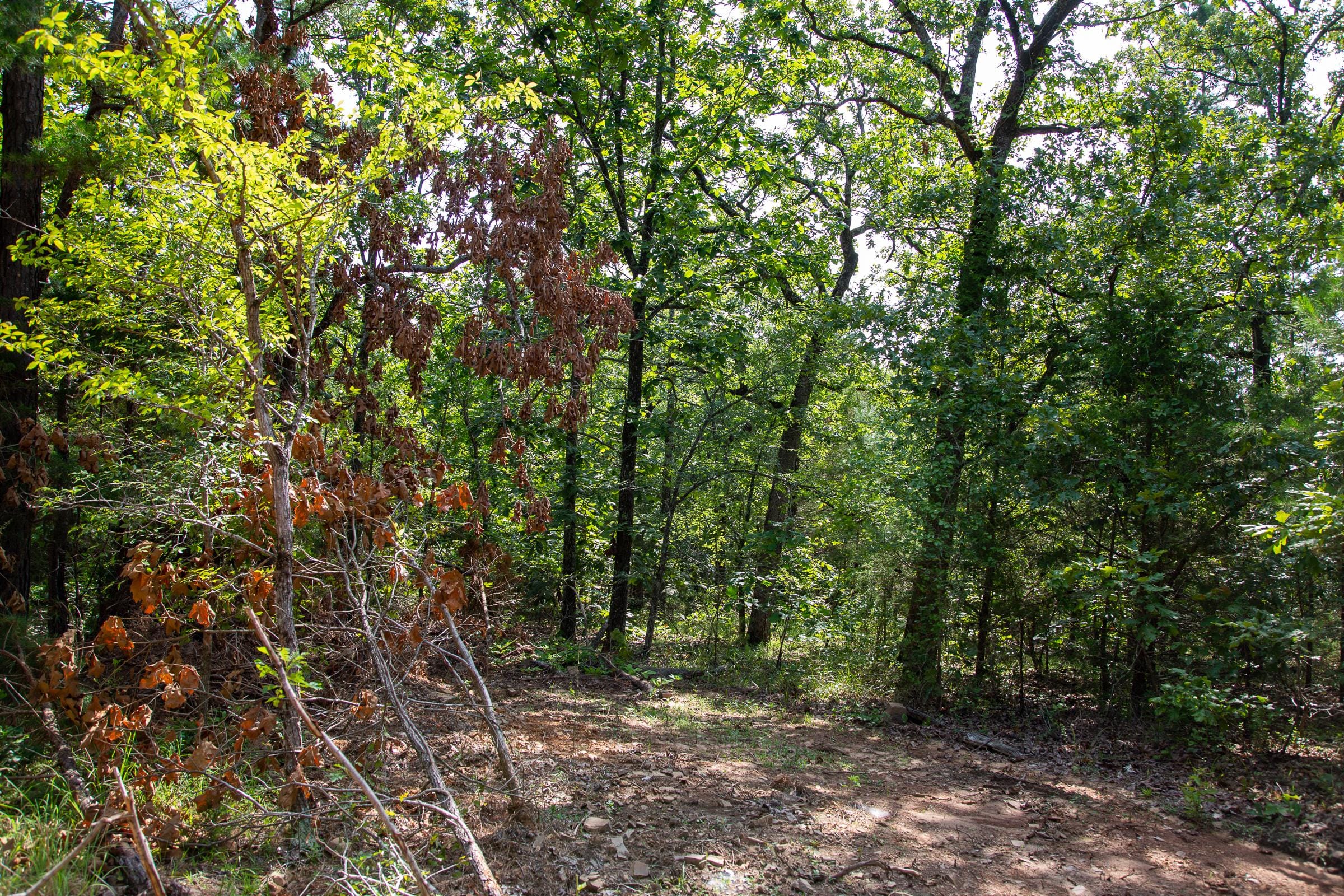 Tyler Stone Ranch Tract 49 photo 22