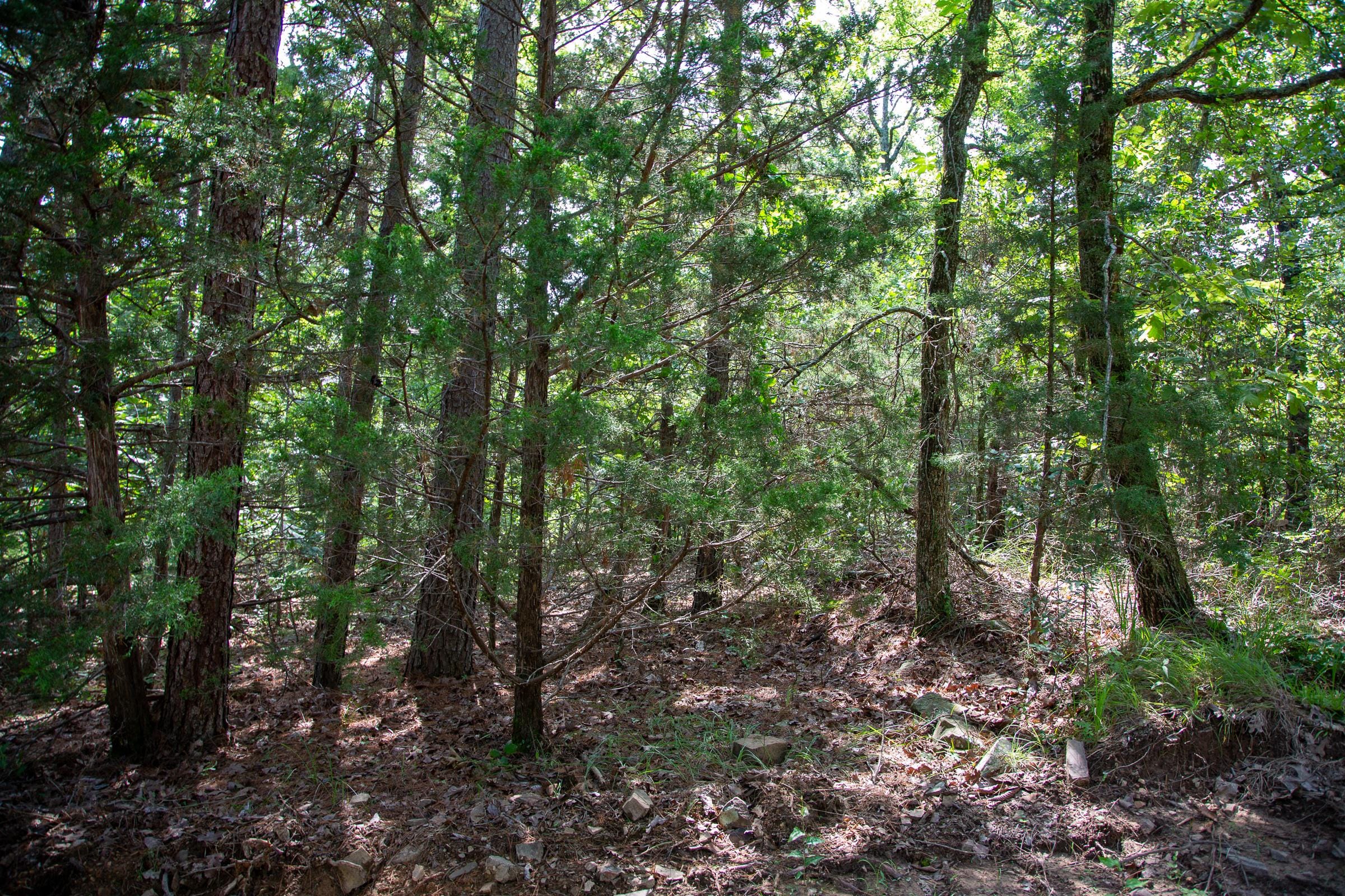 Tyler Stone Ranch Tract 49 photo 23