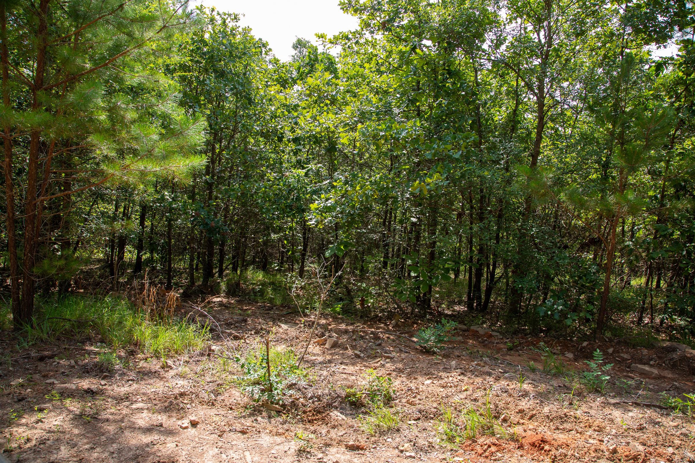 Tyler Stone Ranch Tract 49 photo 25