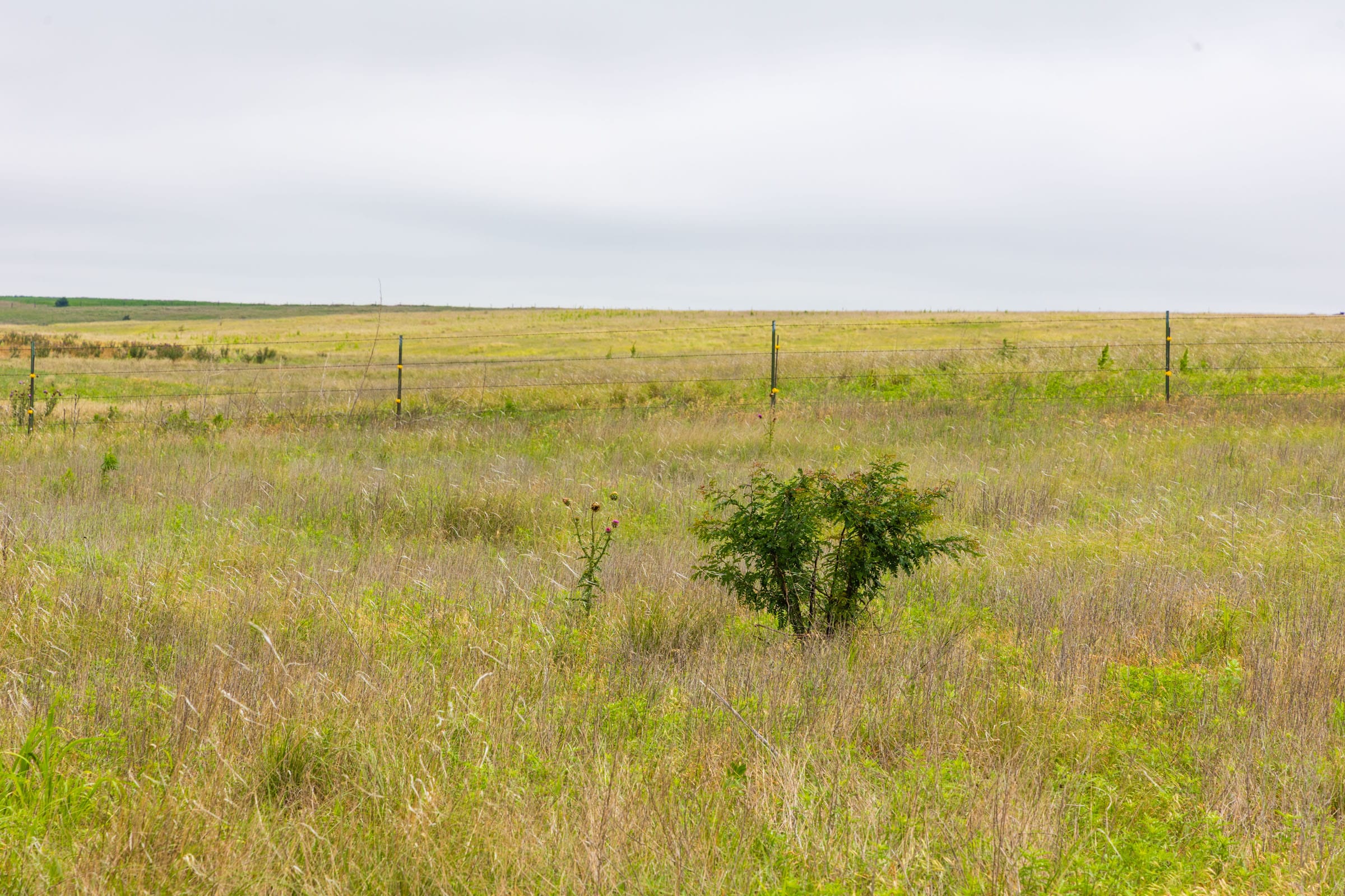 Crandall's Corner Tract 13 photo 4