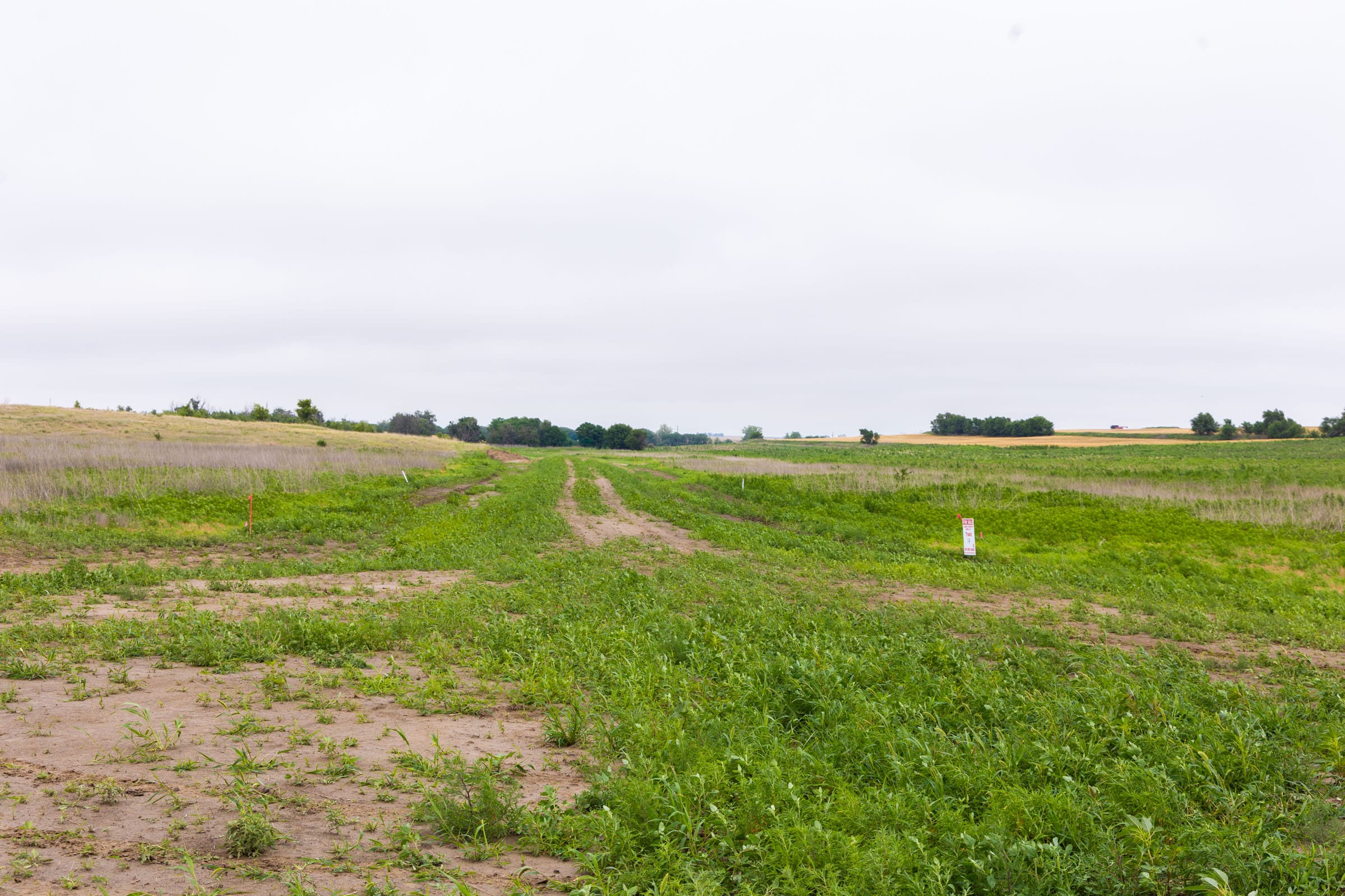 Crandall's Corner Tract 13 photo 2