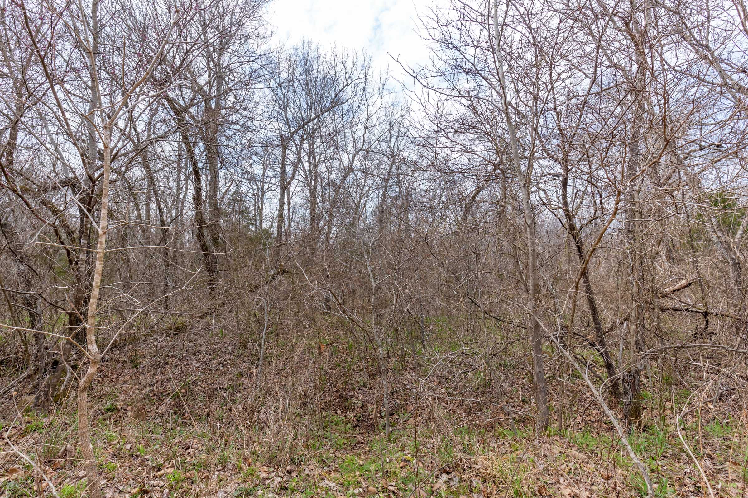 Stone Bridge Phase III Tract 156 photo 8